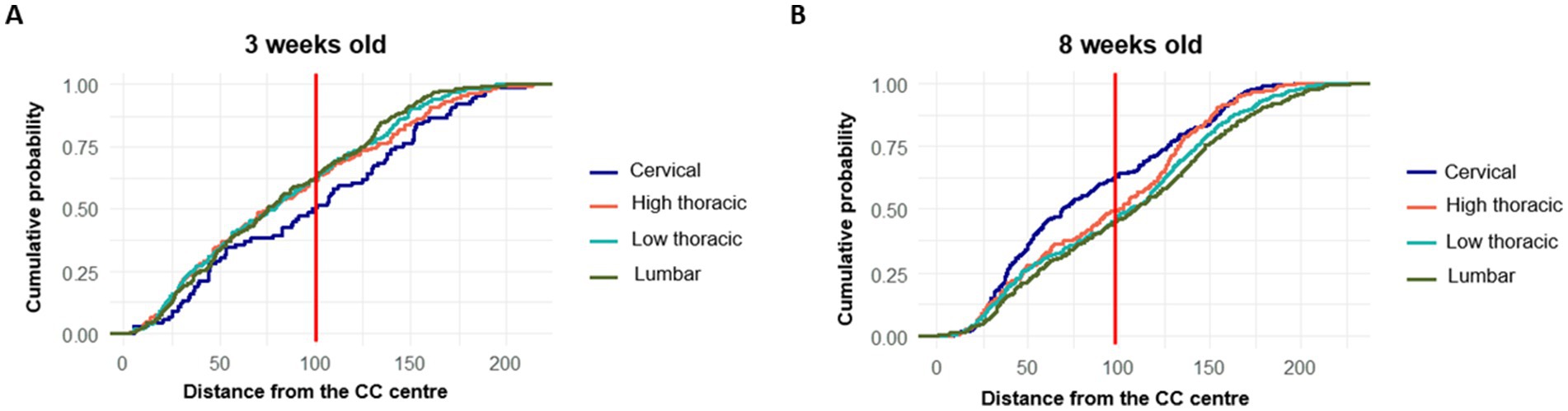 Chart comparing cumulative probability of four anatomical regions at three and eight weeks old. Both graphs depict probabilities against distance from CC centre. Regions include cervical, high thoracic, low thoracic, and lumbar, represented by blue, red, cyan, and green lines, respectively. A vertical red line at 100 units indicates a reference point.
