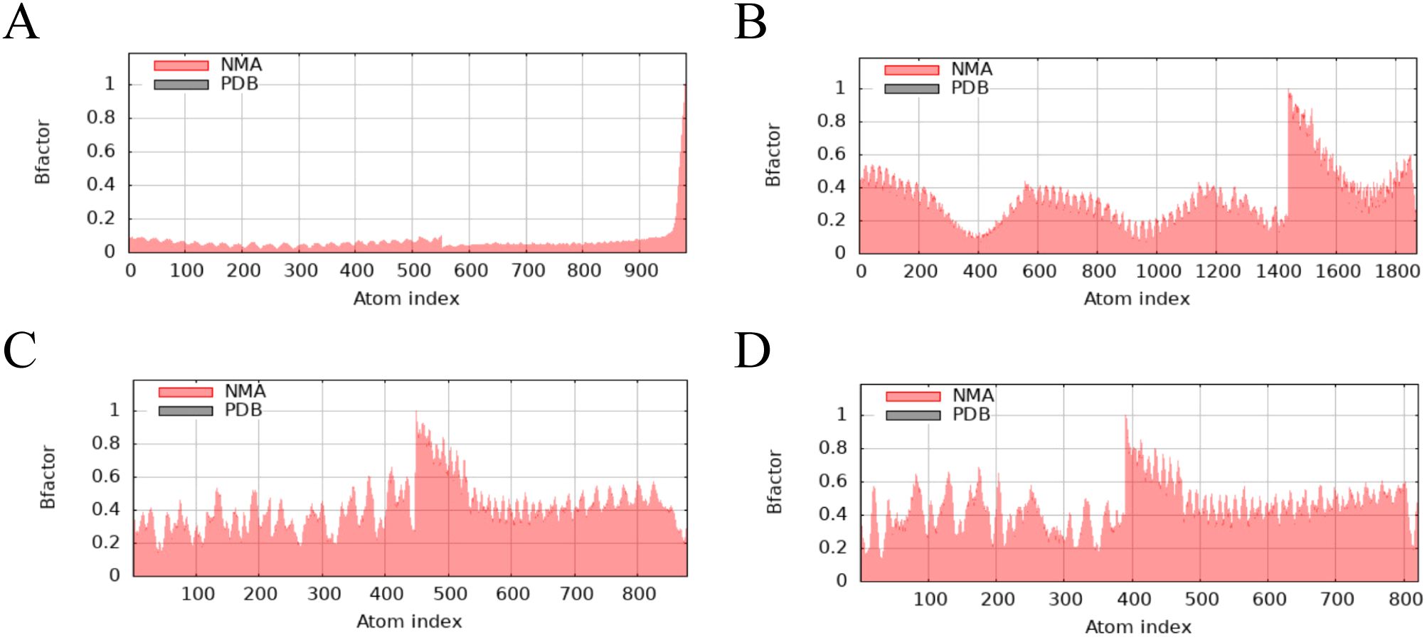 Four graphs labeled A, B, C, and D show B-factor values versus atom indices. Red shading represents NMA data, while a black line represents PDB data. Graph A shows a steep increase at the end. Graph B displays a dip in the middle. Graph C exhibits fluctuations with peaks around 400. Graph D shows consistent fluctuations throughout. All graphs have similar axes and legends.