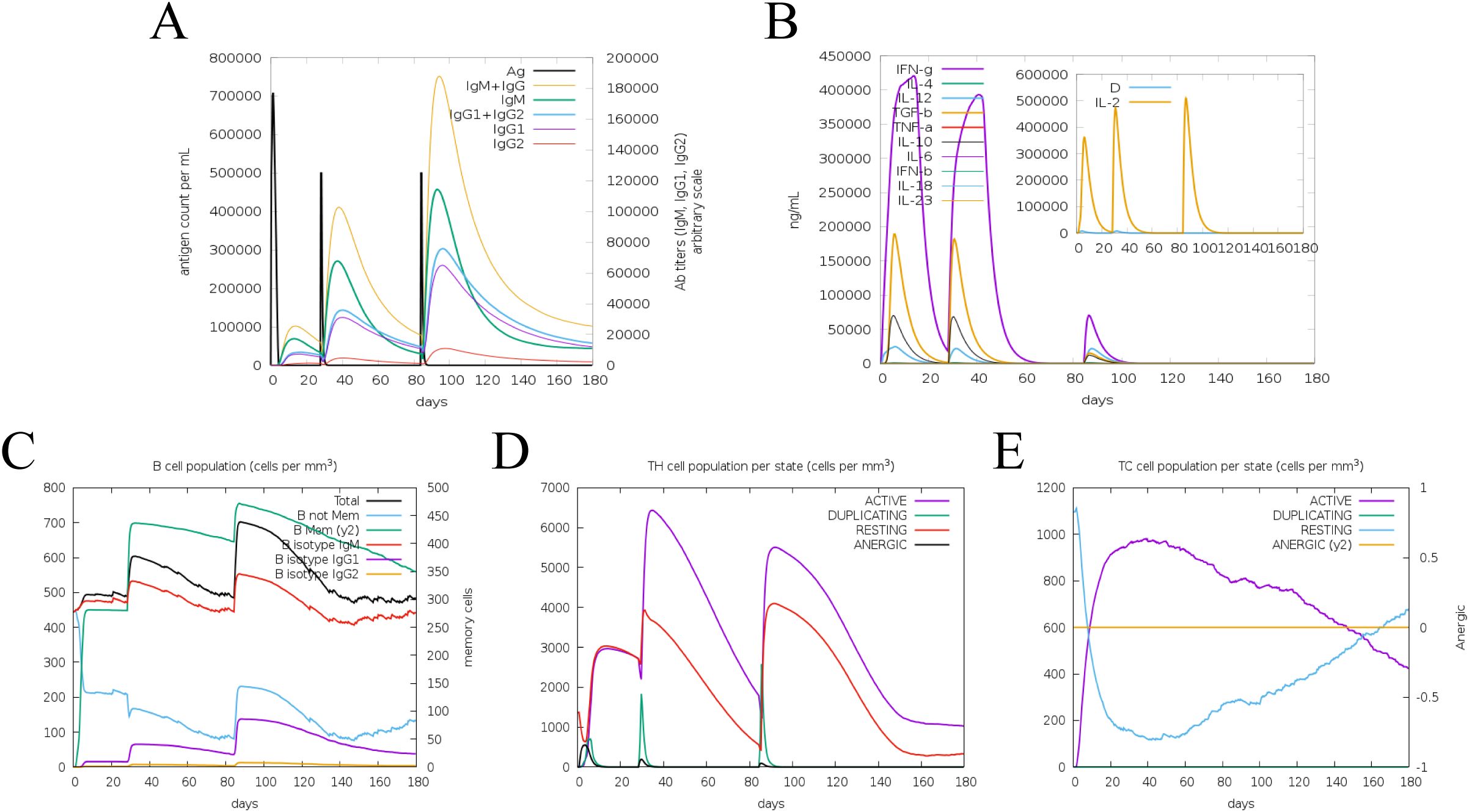 Five graphs labeled A to E depict immune response dynamics over 180 days. Graph A shows antigen and antibody levels, with peaks around 10,40,and 100 days for various immunoglobulins. Graph B illustrates cytokine levels, with a focus on IL-2 in the inset. Graph C details B cell populations, highlighting memory and nonmemory states. Graph D shows T-helper cell states, noting active and duplicating phases. Graph E depicts T-cytotoxic cell states, emphasizing active and resting conditions. Each graph provides a detailed visualization of immune cell activities and cytokine responses over time.