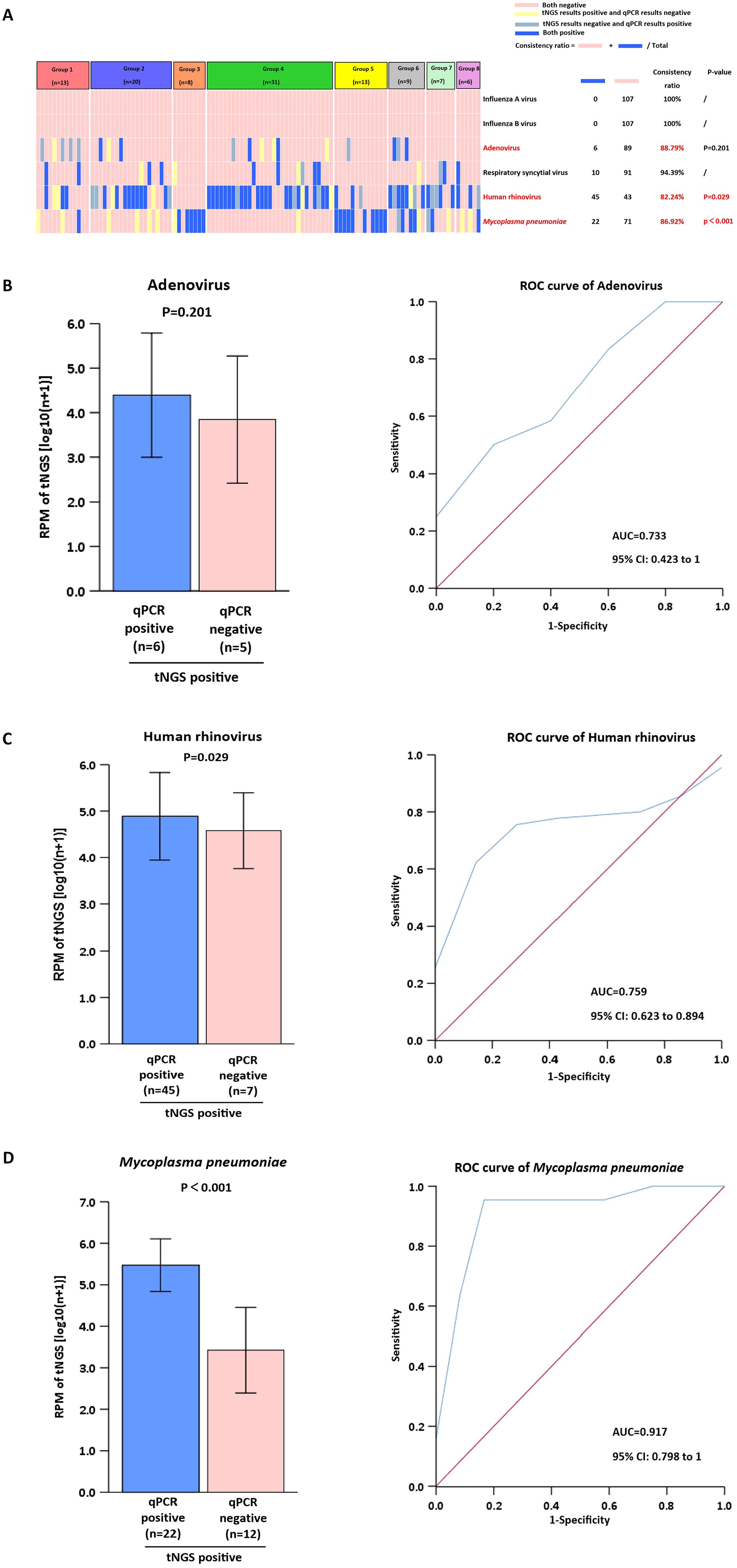 Panel A shows a heatmap with various color-coded groups and consistency ratios for multiple viruses. Panels B, C, and D depict bar graphs and ROC curves for Adenovirus, Human rhinovirus, and Mycoplasma pneumoniae, respectively. Bar graphs show RNA sequencing results comparing qPCR positive and negative samples. ROC curves show sensitivity against 1-specificity with associated AUC values.