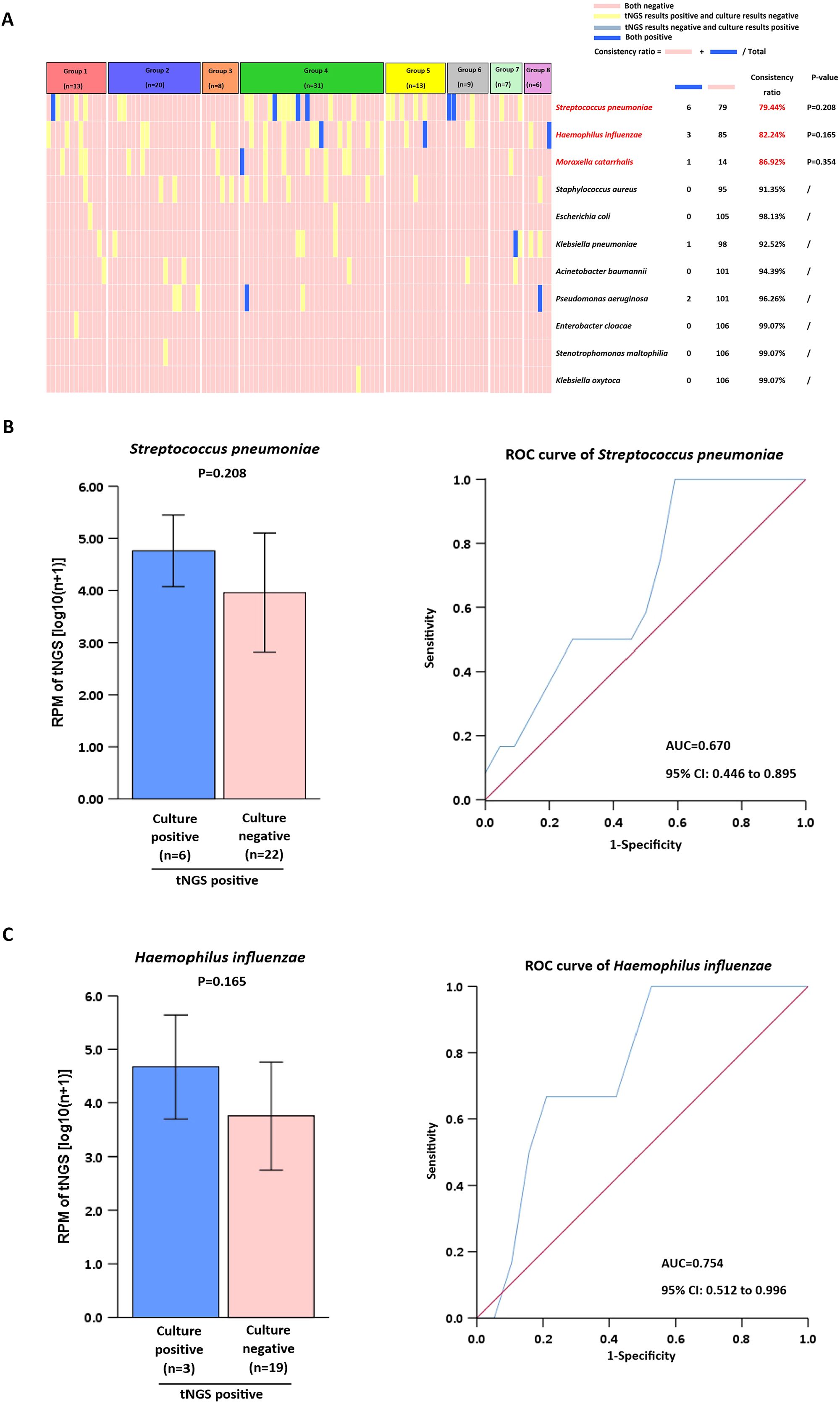 Panel A shows a heatmap categorizing groups by bacterial infection and test consistency ratios. Panel B displays a bar chart and ROC curve for Streptococcus pneumoniae with culture positive and negative comparisons; AUC is 0.670. Panel C shows a similar format for Haemophilus influenzae with an AUC of 0.754.