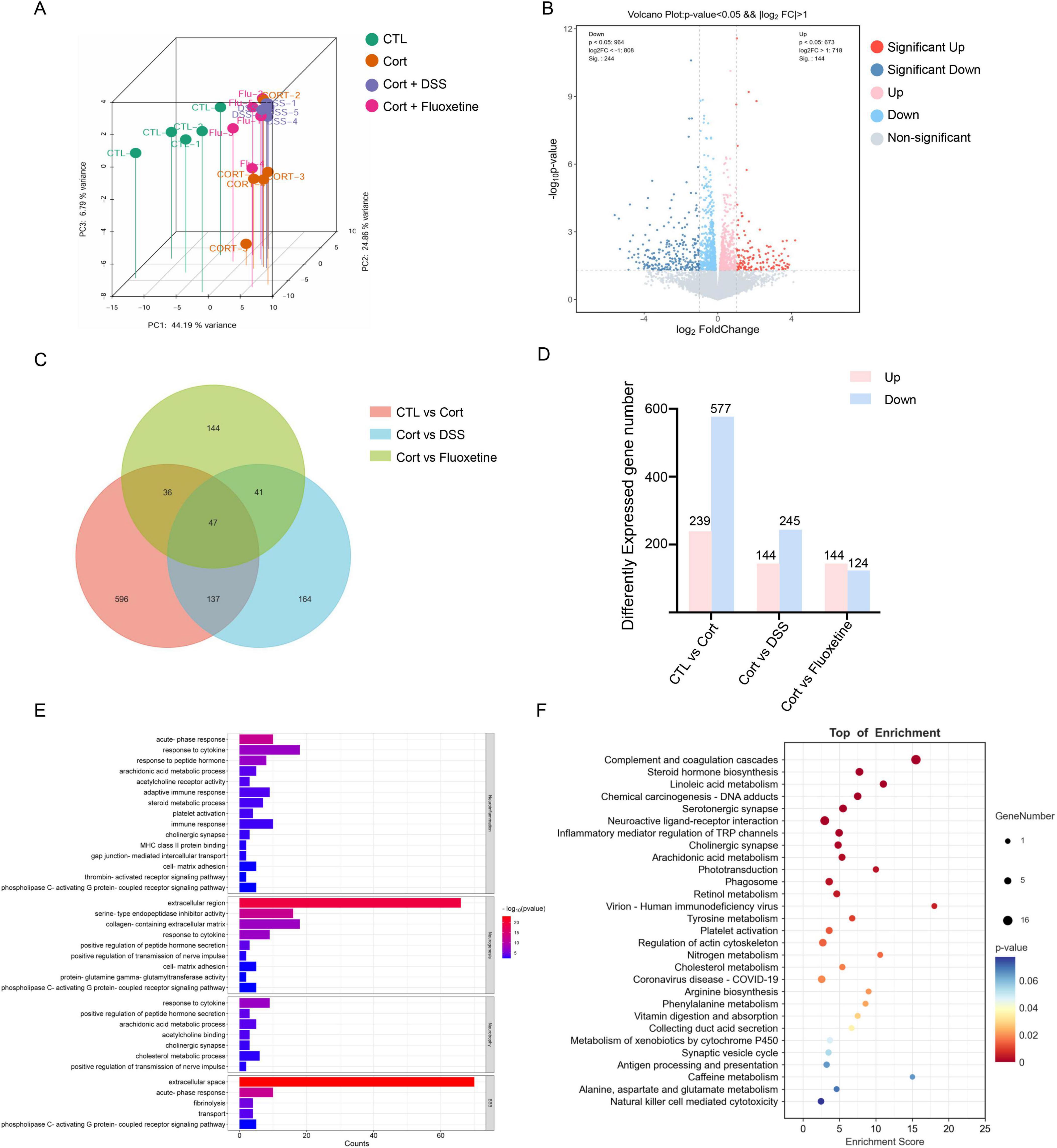 “Diagram with multiple panels displaying gene expression analysis: A. Three-dimensional scatter plot showing principal component analysis with different treatments: CTL, Cort, Cort + DSS, Cort + Fluoxetine. B. Volcano plot illustrating log fold change versus negative log p-value, highlighting significant upregulated and downregulated genes. C. Venn diagram for gene overlaps among three comparisons: CTL vs Cort, Cort vs DSS, Cort vs Fluoxetine. D. Bar chart showing the number of differentially expressed genes in three comparisons, categorized by upregulated and downregulated genes. E. Bar plot representing top enriched pathways based on -log p-values, sorted by significance. F. Bubble plot displaying enrichment analysis for various biological pathways, with size representing gene number and color indicating p-value.”