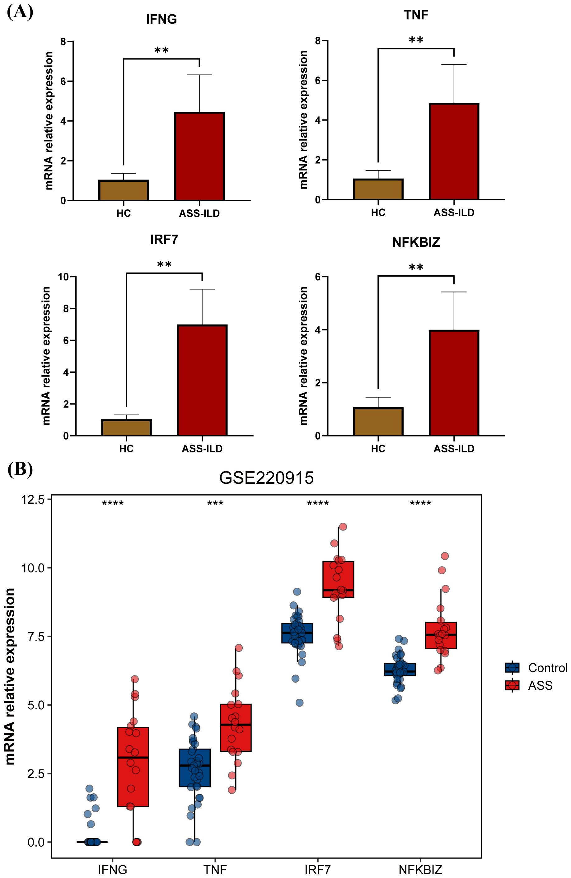 Graphs display mRNA relative expression levels for IFNG, TNF, IRF7, and NFKBIZ. In the bar charts (A), ASS-ILD shows significantly higher expression than HC across all genes. The box plot (B) indicates higher expression levels in ASS compared to Control for all genes, with statistical significance marked by asterisks.