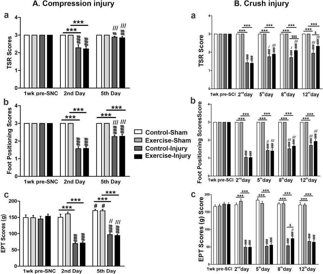 Graphs comparing the effects of compression and crush injuries over time on TSR, foot positioning, and EPT scores. Panel A shows compression injury results at 1 week pre-SNC, 2nd day, and 5th day. Panel B shows crush injury results at 1 week pre-SCI, 2nd day, 5th day, 8th day, and 12th day. Key: Control-Sham, Exercise-Sham, Control-Injury, Exercise-Injury. Significance indicated by asterisks and other symbols.