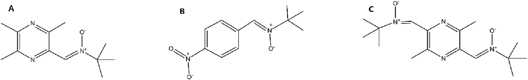 Chemical structures labeled A, B, and C. A shows a pyrimidine ring with two tert-butyl groups and a nitro group. B depicts a benzene ring with a nitro group and a tert-butyl group. C displays a pyrimidine ring with two tert-butyl groups and a nitro group, resembling structure A.