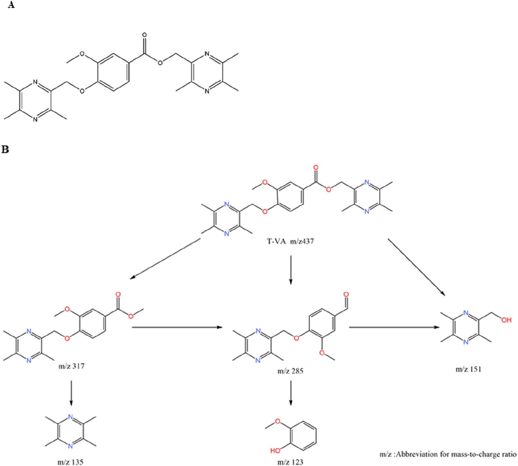 Diagram with two parts. Part A shows the chemical structure of a compound with multiple benzene rings and nitrogen atoms. Part B illustrates the fragmentation pathway of the compound, detailing different fragments with their mass-to-charge (m/z) ratios: T-VA m/z 437, m/z 317, m/z 285, m/z 151, m/z 135, and m/z 123. Arrows indicate the transformation process between structures.