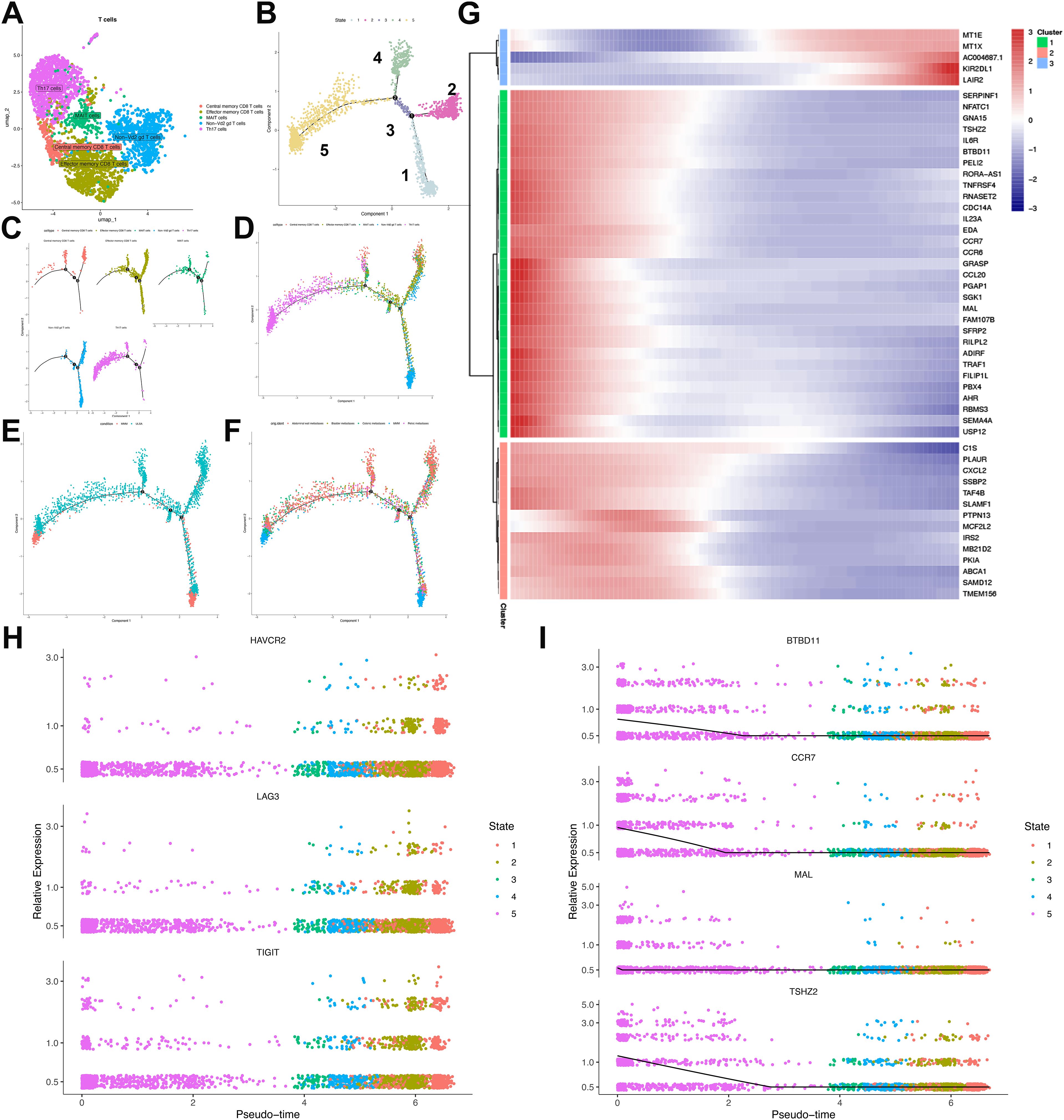Multifaceted panel displaying T-cell data analysis. Panel A shows a scatter plot with colored clusters labeled as different T-cell types. Panel B visualizes a trajectory plot with states numbered one to five. Panels C to F depict trajectory plots highlighting different aspects or conditions of the T-cell data. Panel G presents a heatmap of gene expression across various clusters, showing a gradient from red to blue. Panels H and I display scatter plots of gene expression levels over pseudo-time for various genes, with points colored by state.