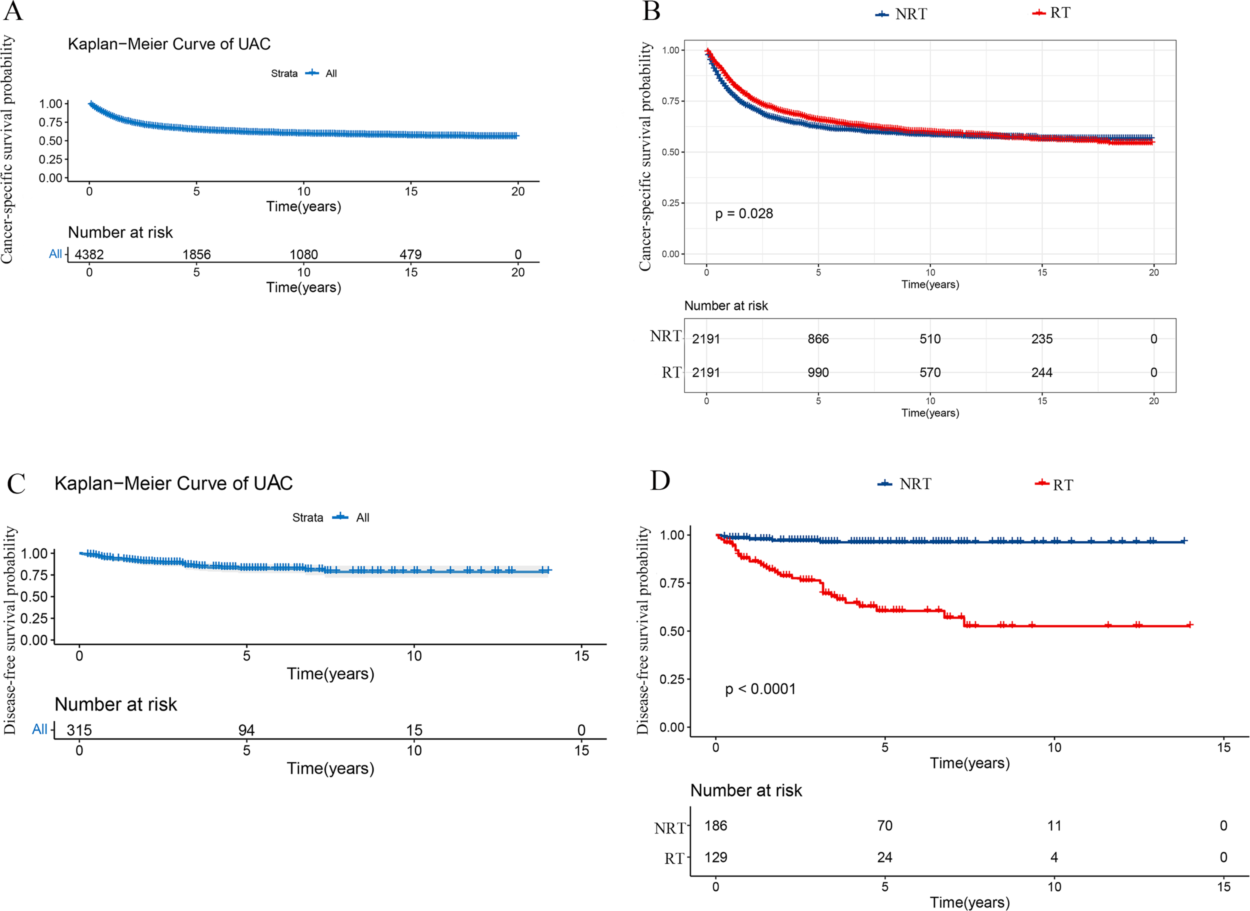 A set of four Kaplan-Meier curves displaying survival probabilities. (A) Shows cancer-specific survival for all participants over 20 years with a gradual decline. (B) Compares cancer-specific survival between NRT and RT groups over 20 years, showing slight differences, with p-value 0.028. (C) Illustrates disease-free survival for all participants over 15 years, exhibiting a gradual decline. (D) Compares disease-free survival between NRT and RT groups over 15 years, showing distinct separation, with p-value less than 0.0001. Tables below indicate numbers at risk for each time point.