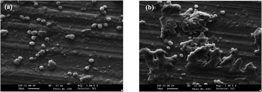 Scanning electron microscope images showing two different surfaces. Panel (a) depicts a surface with scattered small spherical particles. Panel (b) shows the same surface with larger, irregular and rough formations alongside the spherical particles. Both images are magnified at one thousand times with a scale bar indicating ten micrometers.