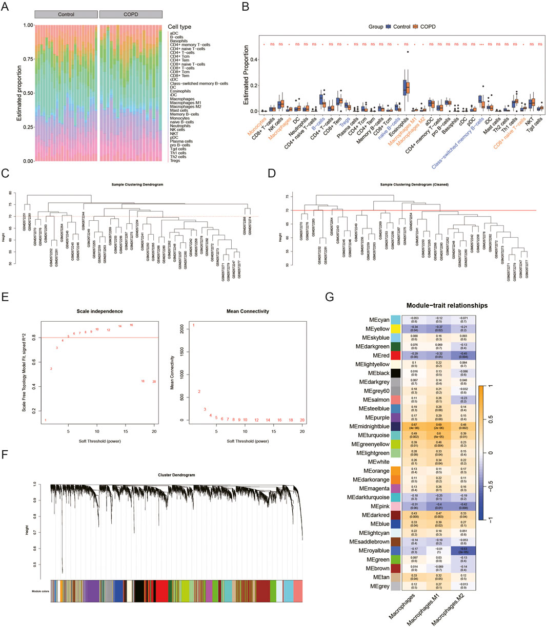 Panel A depicts a bar chart comparing cell type proportions between control and COPD groups. Panel B shows a box plot with estimated proportions of various cell types. Panel C and D are dendrograms for sample clustering. Panel E contains graphs showing scale independence and mean connectivity versus soft threshold power. Panel F presents a cluster dendrogram with color-coded module membership. Panel G is a heatmap displaying module-trait relationships with values indicating the strength of association between modules and traits.