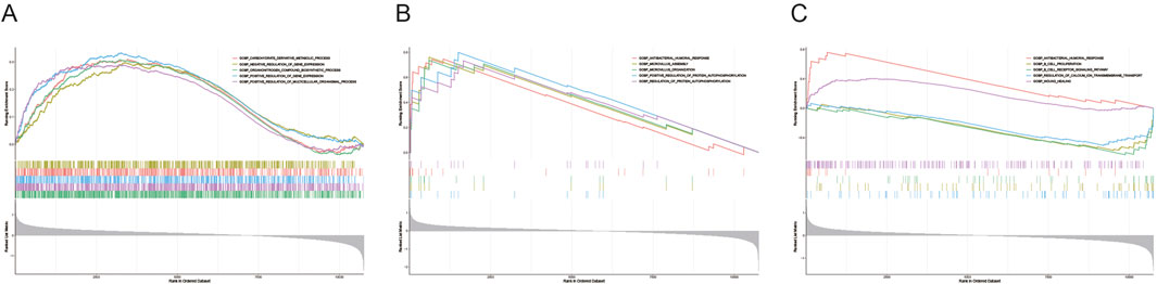 Three panel figure showing ranked enrichment scores for different gene ontology biological processes in graphs labeled A, B, and C. Each panel has multiple colored lines representing different processes over a ranked dataset, with corresponding colored bars below and ranked list metrics plotted at the bottom.
