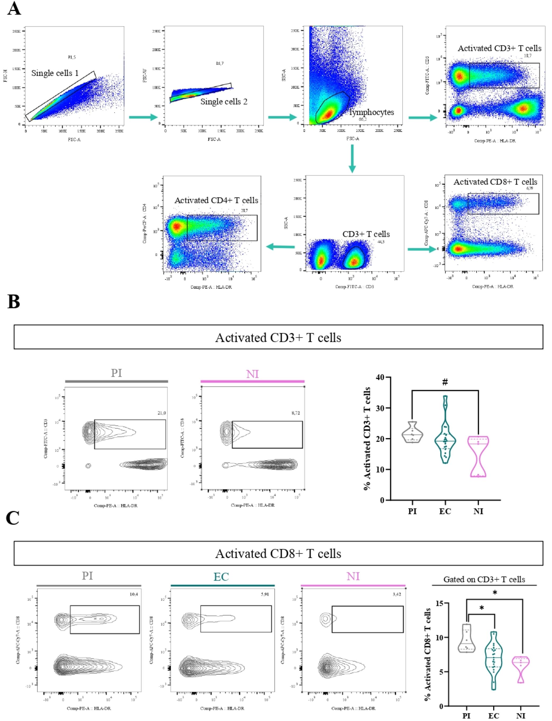 Flow cytometry analysis with three sections labeled A, B, and C. Section A shows a series of dot plots identifying single cells, lymphocytes, and activated CD3+, CD4+, and CD8+ T cells. Section B features contour plots and a violin plot comparing the percentage of activated CD3+ T cells across PI and NI groups, showing significant differences. Section C includes contour plots and a violin plot for activated CD8+ T cells, comparing PI, EC, and NI groups, with significant differences marked. Arrows connect the progression between stages in A.