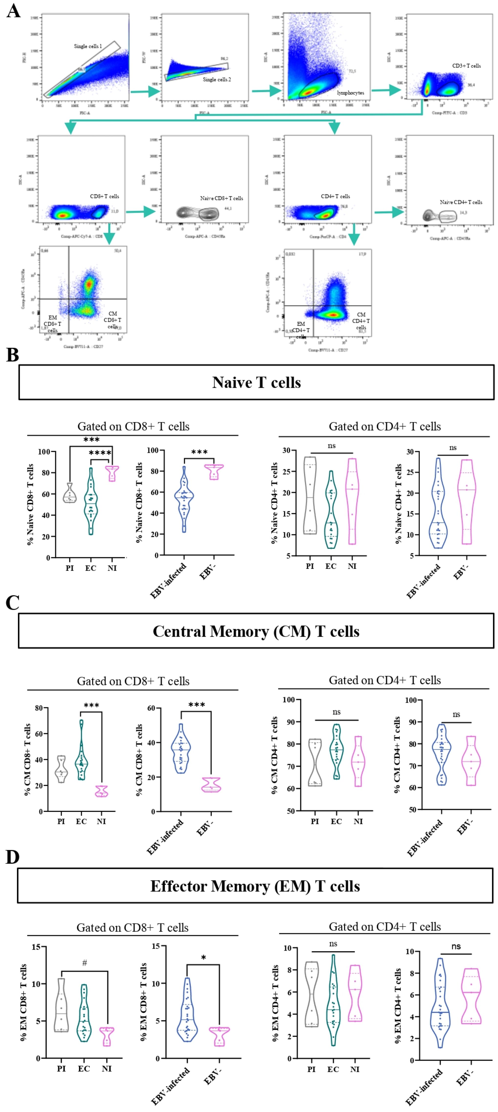 Flow cytometry and violin plots analyze T cell subsets. Panel A shows gating strategy for CD8+ and CD4+ T cells, separating naive, central memory (CM), and effector memory (EM) cells. Panels B, C, and D display violin plots of naive, CM, and EM T cells across various conditions: PI, EC, NI, and EBV-infected compared to non-infected, with significant differences indicated by asterisks.