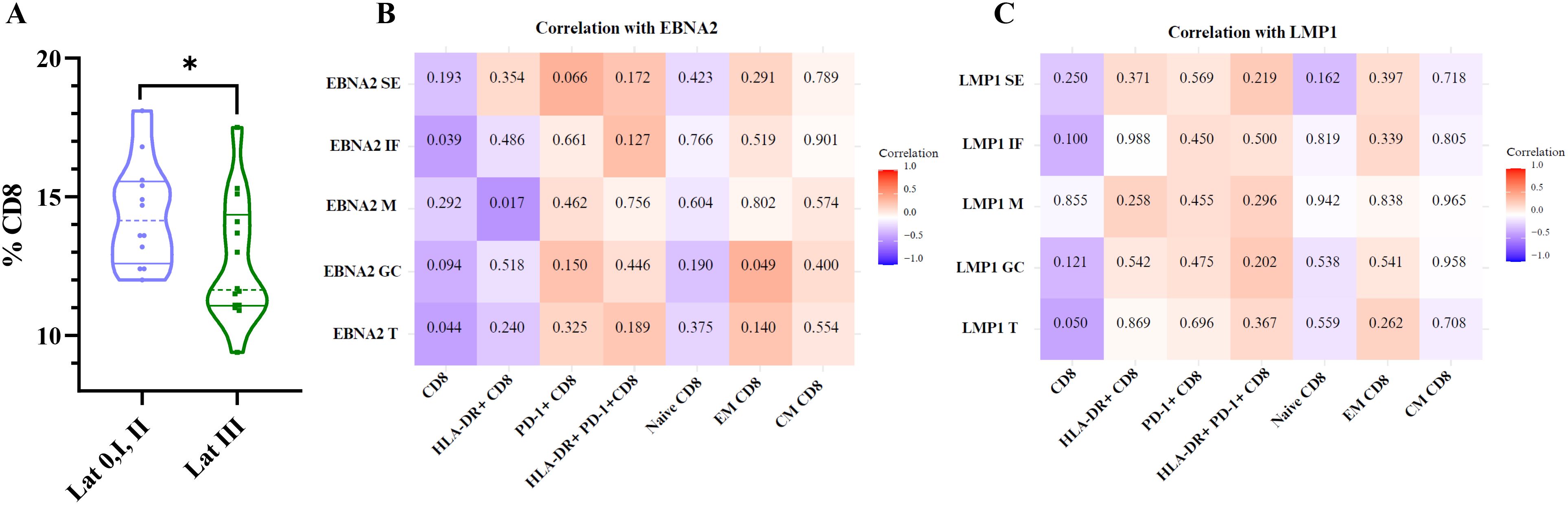 Violin plots and heat maps related to CD8 cell analysis. Panel A shows violin plots comparing % CD8 in Lat 0, I, II and Lat III with a significance indicator. Panel B displays a heat map of correlation values with EBNA2, and Panel C with LMP1, across different CD8 cell markers. Color gradient signifies correlation strength, with red for positive and blue for negative correlations.
