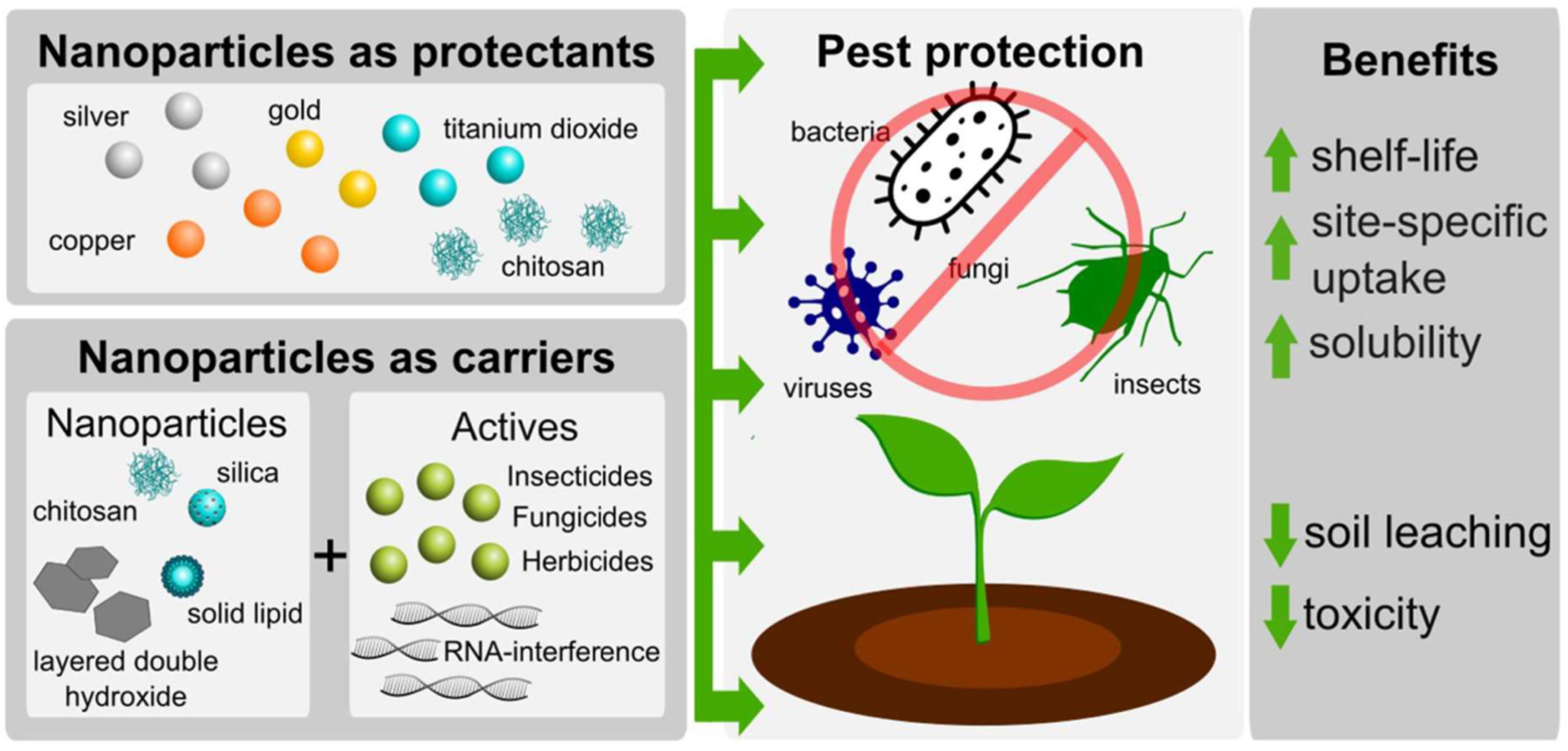 Diagram illustrating the use of nanoparticles in pest protection. Nanoparticles like silver, gold, titanium dioxide, and chitosan are protectants. Nanoparticles such as chitosan, silica, solid lipid, and layered double hydroxide act as carriers for insecticides, fungicides, herbicides, and RNA interference. The diagram shows pest protection against bacteria, fungi, viruses, and insects, enhancing a plant's growth. Benefits include increased shelf-life, site-specific uptake, solubility, and reduced soil leaching and toxicity.