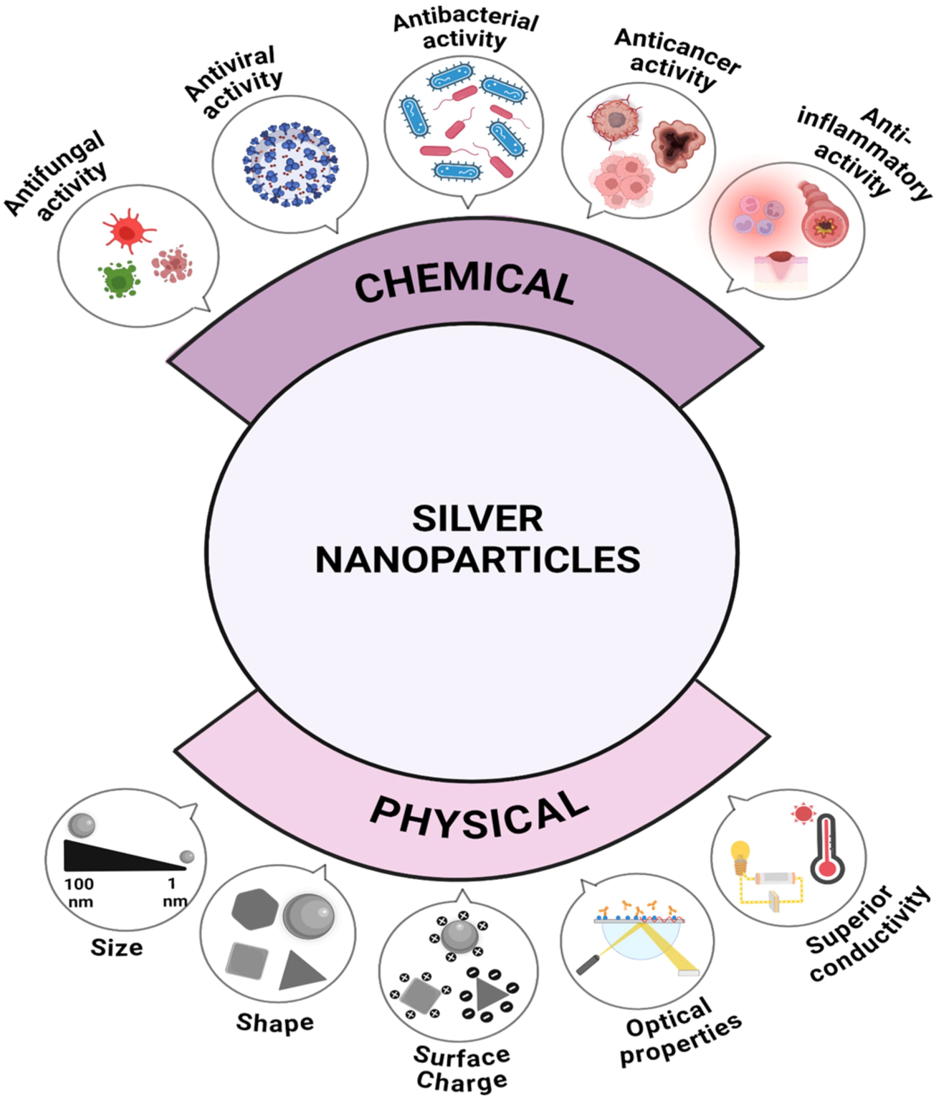 Diagram of silver nanoparticles showing their chemical and physical properties. Chemical aspects include antifungal, antiviral, antibacterial, anticancer, and anti-inflammatory activities. Physical aspects include size, shape, surface charge, optical properties, and superior conductivity.