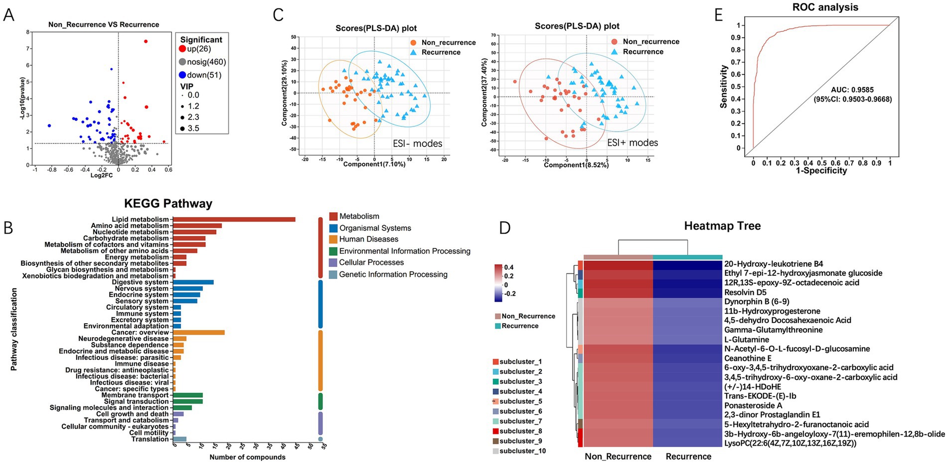 Five-part scientific graphic showing data analysis for recurrence versus non-recurrence:A. Volcano plot showing differential expression, with significant upregulated and downregulated elements.B. KEGG pathway bar chart depicting the number of compounds involved in various pathways like metabolism and disease.C. Two PLS-DA score plots for non-recurrence and recurrence groups, differentiated by ESI modes.D. Heatmap tree visualizing subclusters for non-recurrence and recurrence, with varying intensity levels.E. ROC curve analysis showcasing model sensitivity and specificity with an AUC of 0.9585.