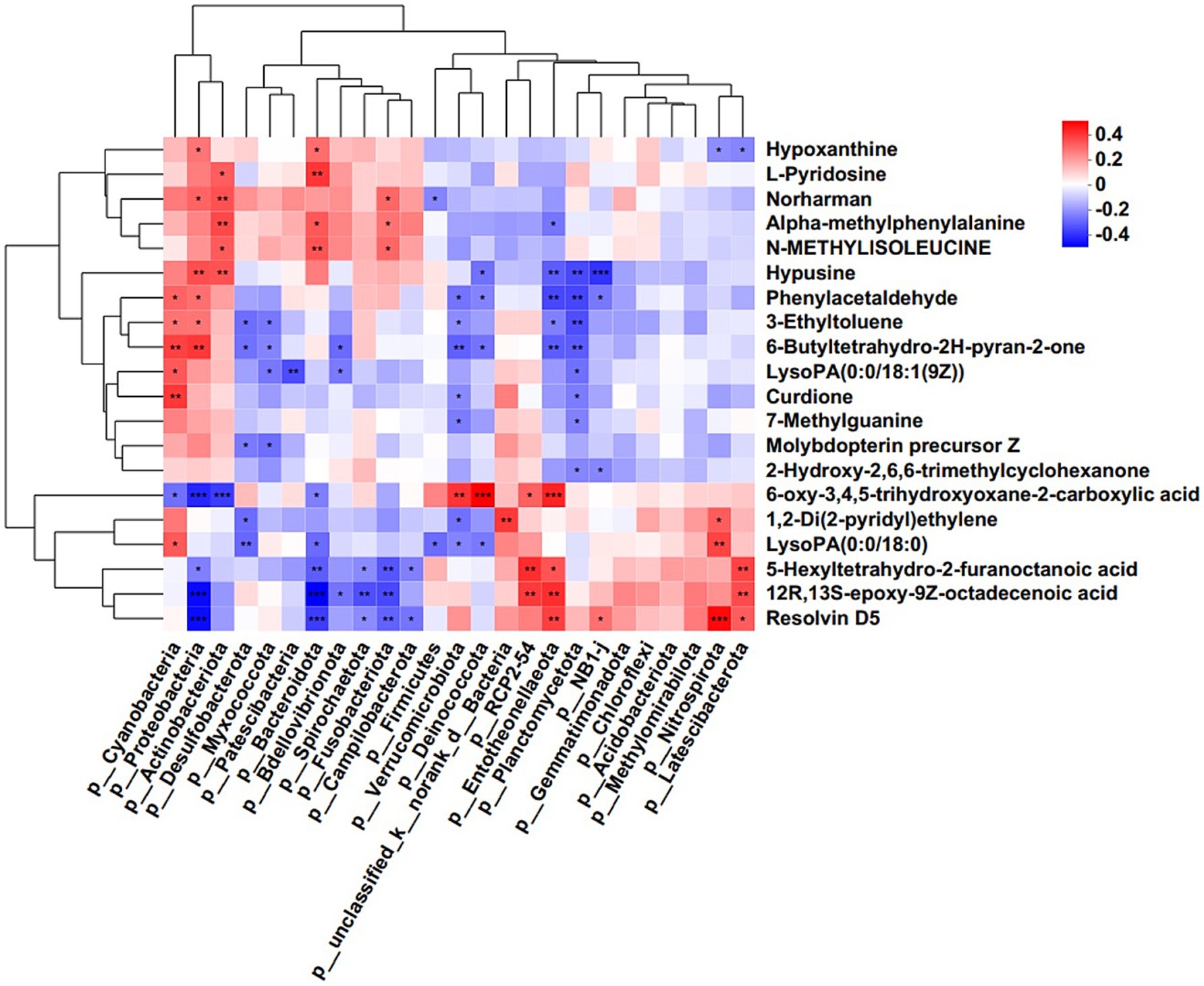 Heatmap showing hierarchical clustering of various metabolites and microbial taxa. Metabolites are listed vertically and taxa horizontally. Red indicates positive correlation, blue indicates negative correlation, with intensities ranging from -0.4 to 0.4. Dendrograms illustrate clustering patterns.