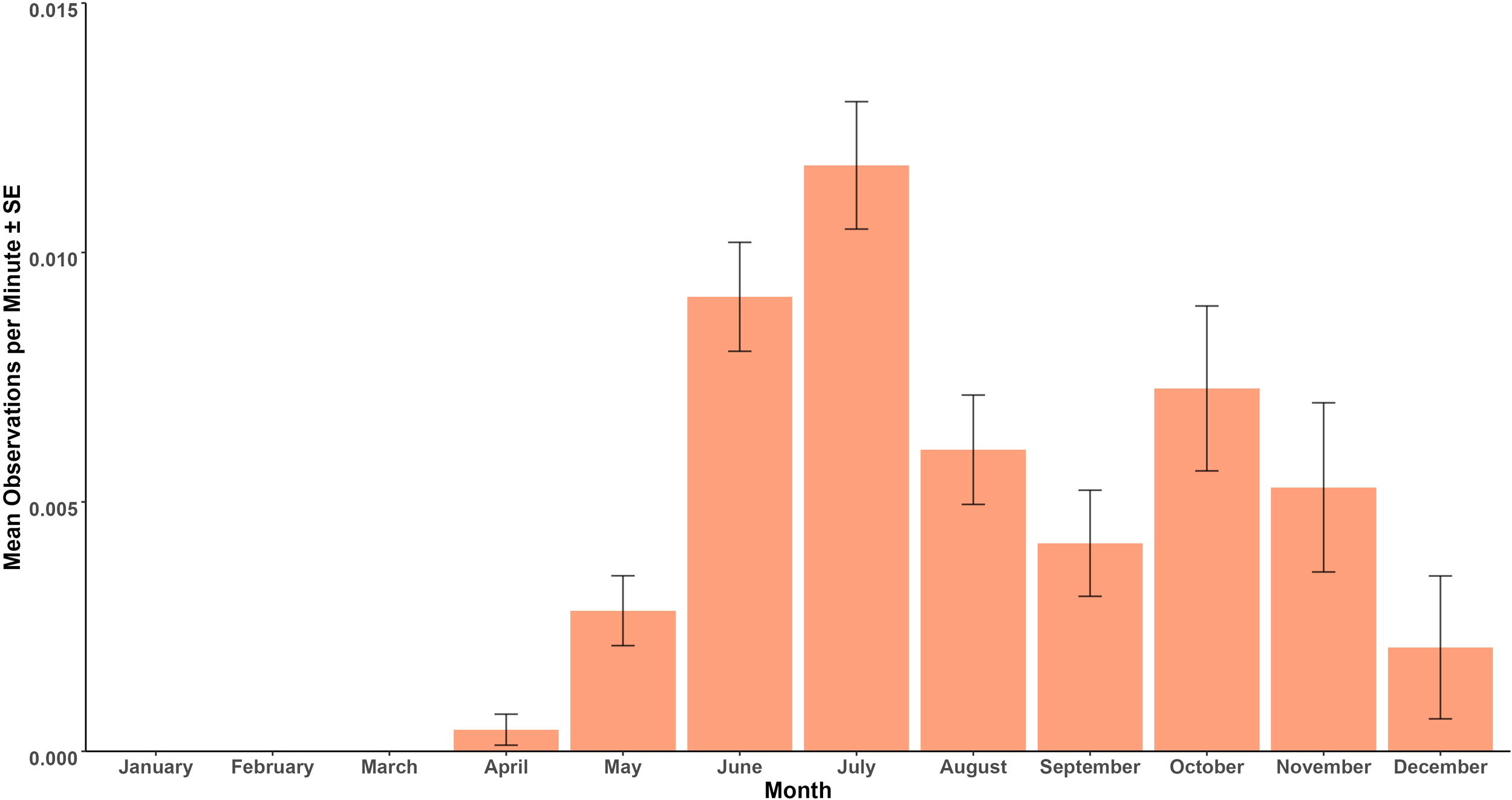 Bar chart showing mean observations per minute with standard error bars from January to December. Observations peak in July, followed by October. Lowest observations occur in January through March.