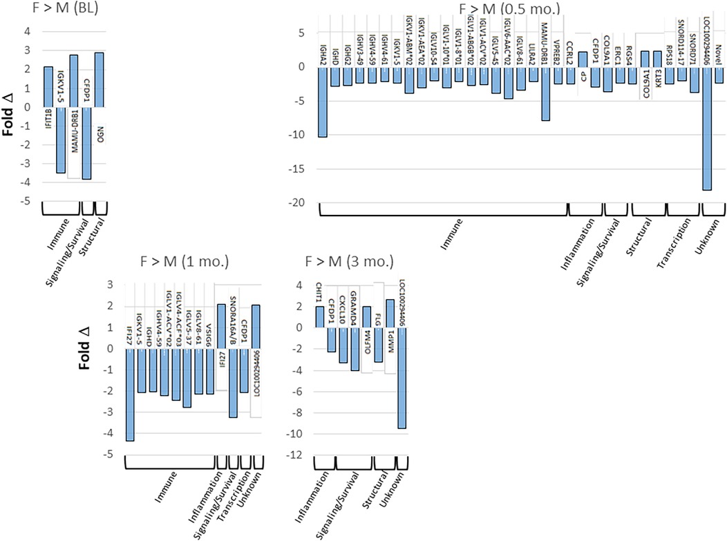 Bar charts comparing gene expression fold changes in females versus males at baseline, 0.5 months, 1 month, and 3 months. Each chart shows various gene categories: immune, signaling/survival, structural, inflammation, transcription, and unknown. The y-axis is labeled \