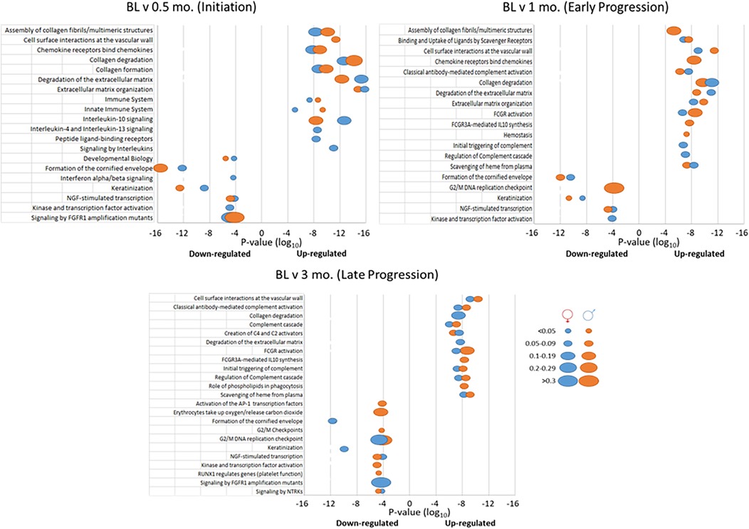 Three bubble plots illustrating gene expression changes over time, labeled \