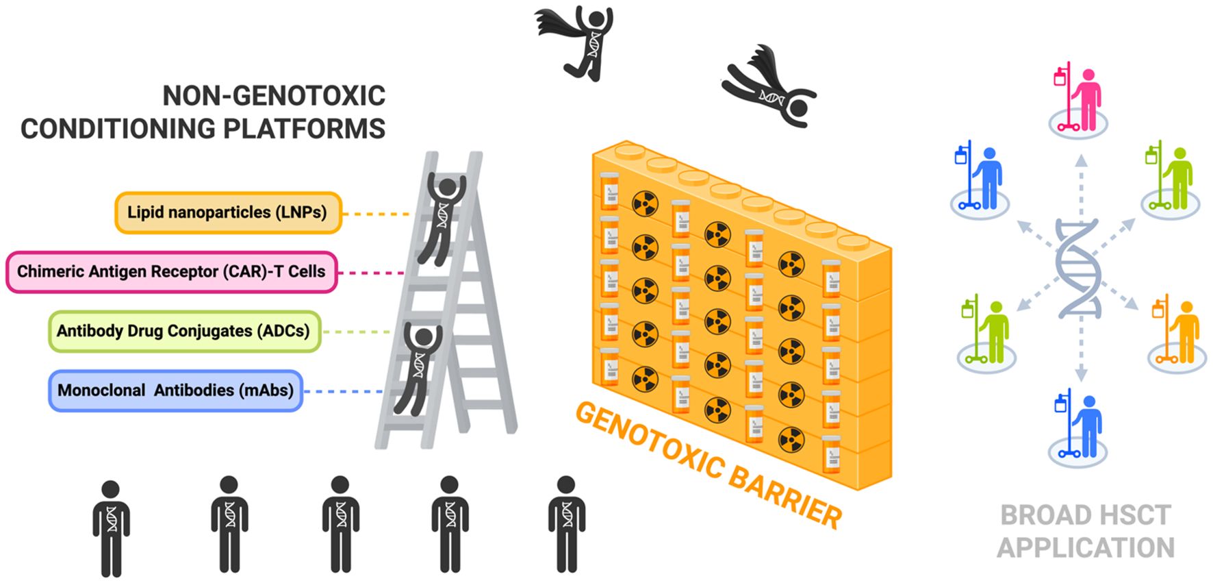 Diagram depicting non-genotoxic conditioning platforms and their role in overcoming a genotoxic barrier. Illustrates four methods: lipid nanoparticles, chimeric antigen receptor T cells, antibody drug conjugates, and monoclonal antibodies. Stick figures ascend a ladder labeled as these methods, bypassing a genotoxic barrier represented by a structure with radiation symbols. Figures on the right indicate successful broad hematopoietic stem cell transplant applications.