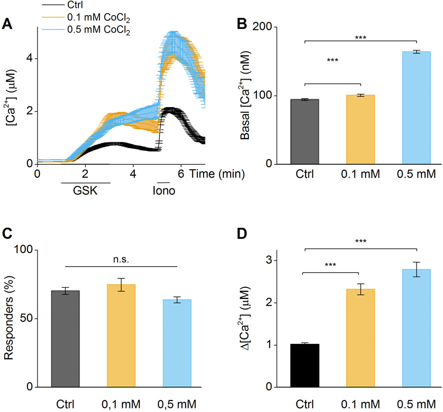 Graphical panels A to D depict calcium ion concentration experiments. Panel A shows a line graph of calcium ion concentration over time for control and cobalt chloride conditions. Panel B is a bar graph indicating basal calcium ion levels, showing significant differences. Panel C presents the percentage of responders, with no significant differences. Panel D displays changes in calcium ion concentration, highlighting significant differences. Statistical significance is denoted by asterisks.