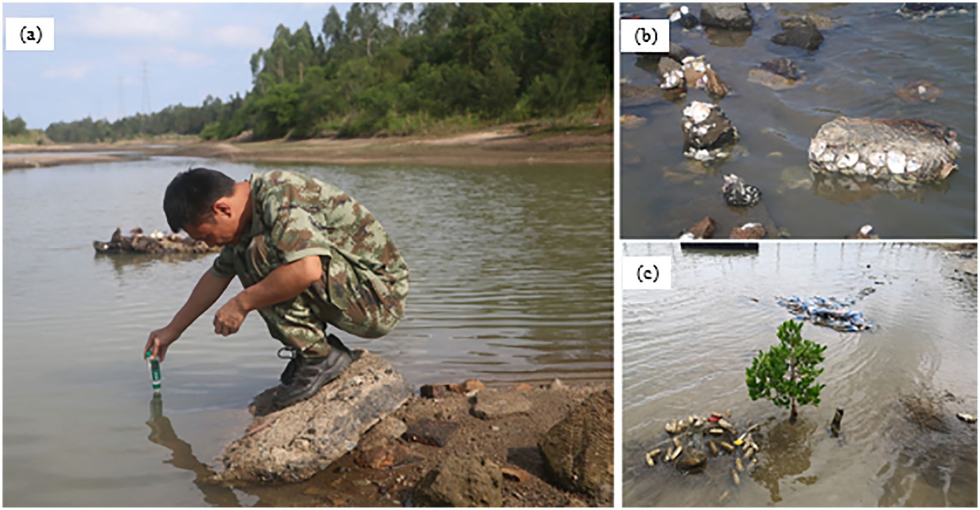 (a) A person in camouflage clothing is collecting a water sample from a river. (b) Rocks covered with barnacles are partly submerged in water. (c) A small tree stands in a flooded area surrounded by debris.