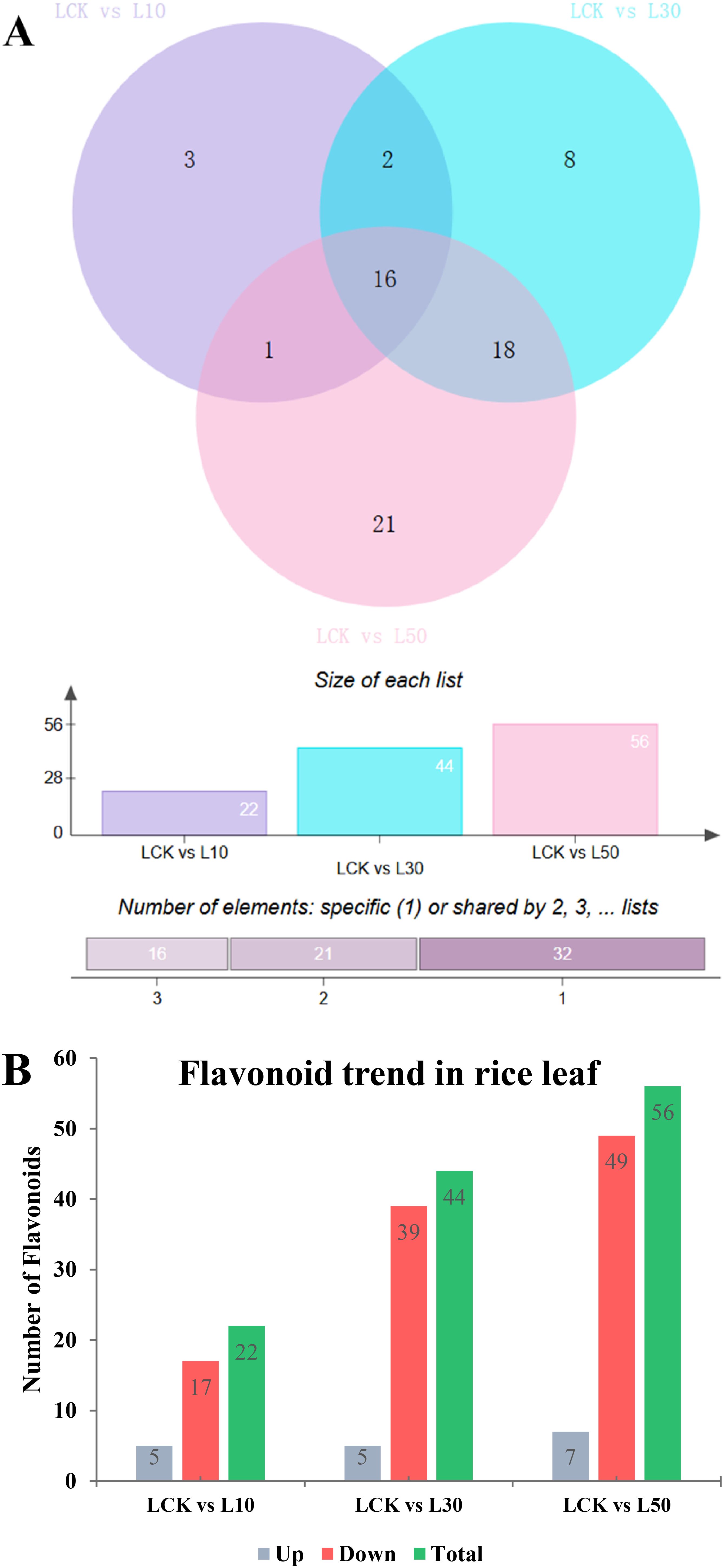 Venn diagram and bar charts analyzing flavonoid trends in rice leaves. Panel A features a Venn diagram comparing three groups: LCK vs L10, LCK vs L30, and LCK vs L50, with size and element count for each list. Panel B shows a bar graph of flavonoid numbers, highlighting up, down, and total trends across the same groups.