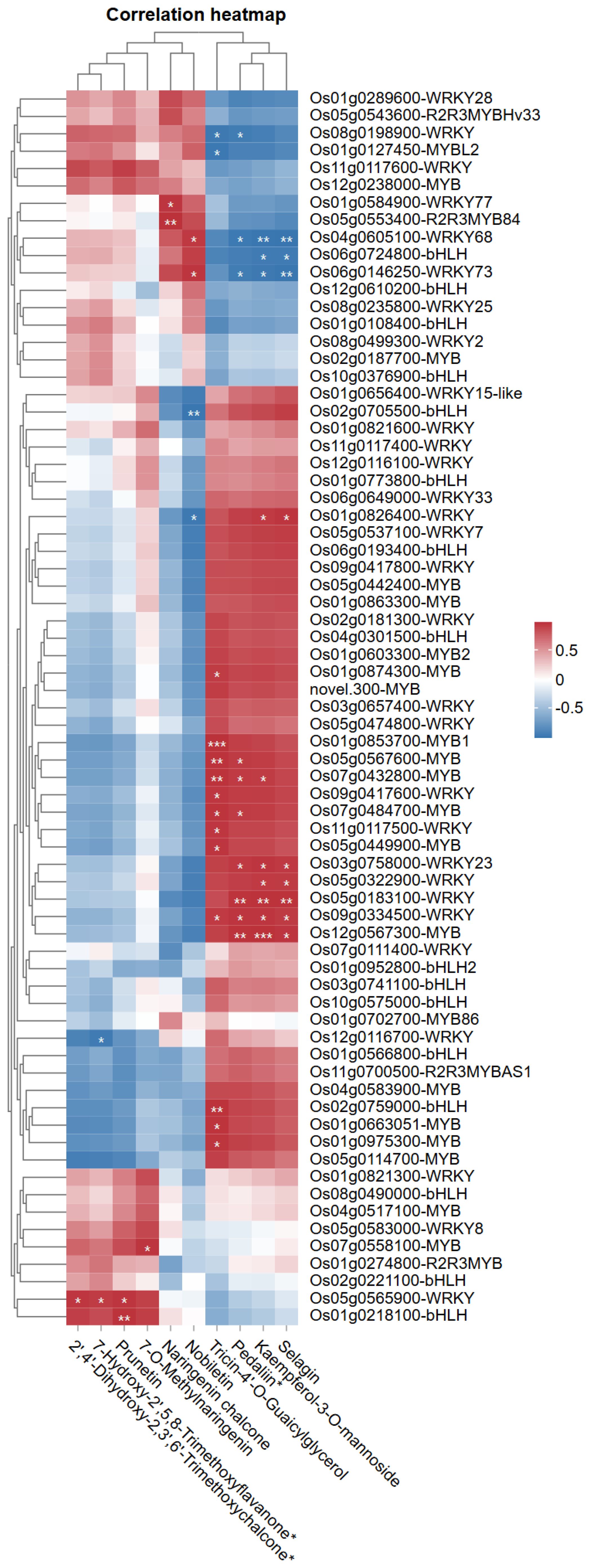 Correlation heatmap showing gene expression levels. Rows represent gene identifiers and names, while columns represent compounds. Colors range from red to blue, indicating high to low correlation values. Dendrograms cluster genes and compounds based on similarity.