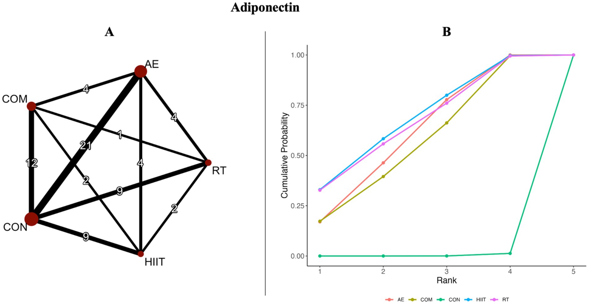 Network plot and line graph comparing different exercise interventions on adiponectin levels. Panel A shows a network plot with nodes labeled AE, COM, CON, HIIT, and RT connected by weighted lines. Panel B displays cumulative probability graphs for each intervention, ranked from one to five on the x-axis, with corresponding cumulative probabilities on the y-axis. Lines are colored distinctly for each intervention.