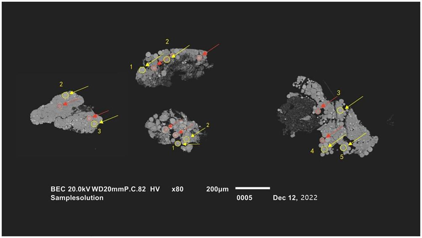 Microscopic image showing several clusters of particles with labels and markings highlighting specific points. Different shapes and colors such as circles and arrows in red and yellow indicate areas of interest. The scale is marked as two hundred micrometers. Acquisition settings include BEC 20.0 kV, WD 20 mm, magnification of 80 times, and date December 12, 2022.