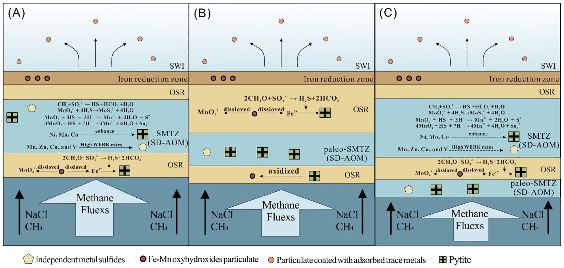 Diagram illustrating three panels (A, B, C) of sedimentary processes. Each panel shows layers labeled SWI, Iron reduction zone, OSR, and SMTZ or paleo-SMTZ. Methane fluxes and chemical reactions involving compounds like CH₄, Fe²⁺, and MnO₂ are depicted. Symbols represent independent metal sulfides, Fe-Mn oxyhydroxides, particulate with adsorbed trace metals, and pyrite. Arrows indicate movement of particles and reactions.