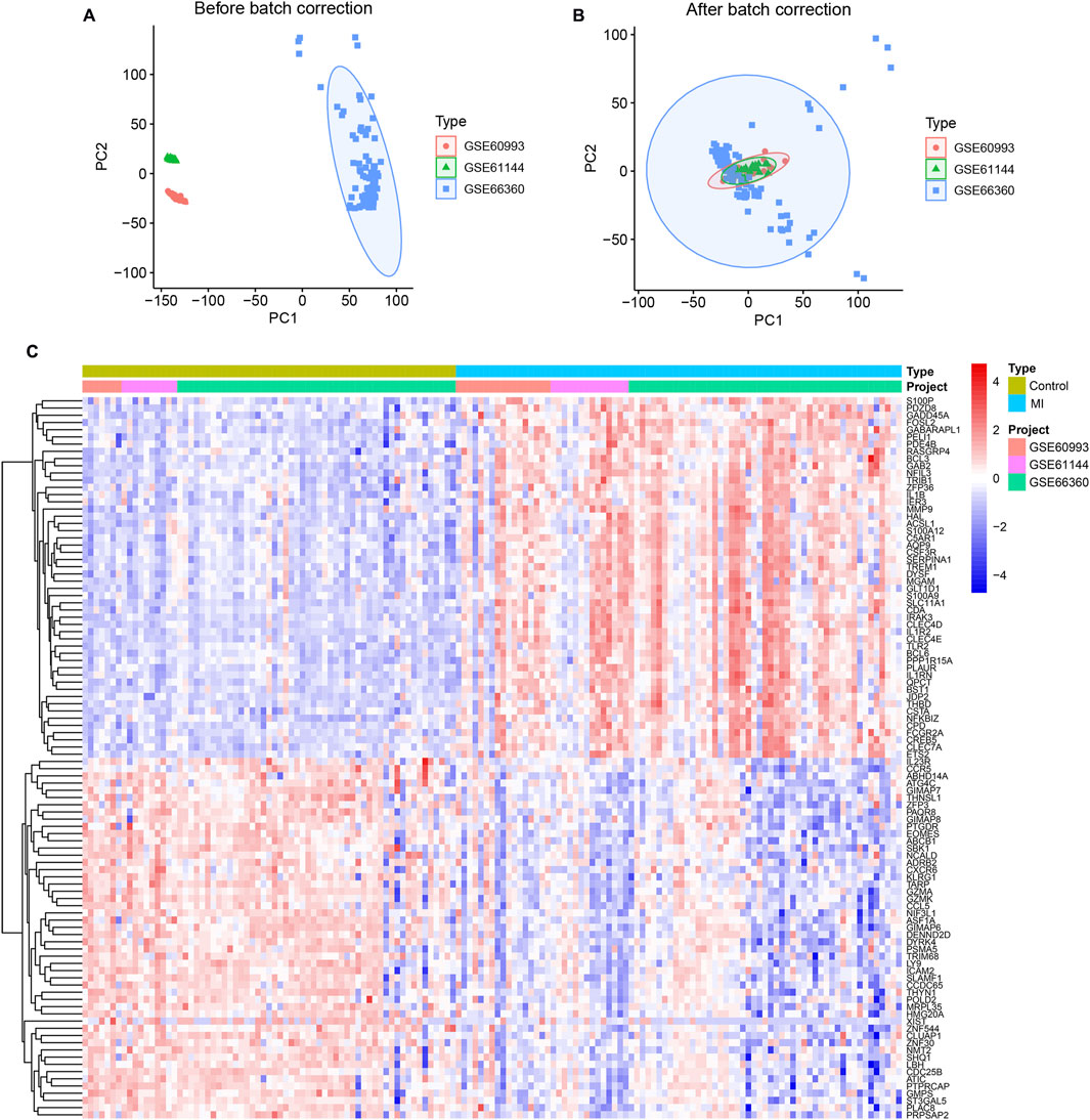 Scatter plots and a heatmap illustrate batch correction in three datasets: GSE60993, GSE61144, and GSE66360. Plots show data before (A) and after (B) batch correction, with distinct clustering after correction. Heatmap (C) displays gene expression changes across datasets, color-coded for control and myocardial infarction (MI) types.