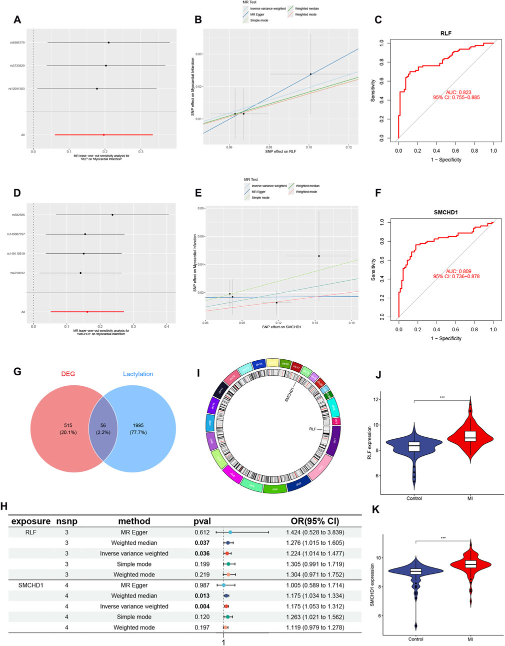 The image contains a series of graphs and charts related to genetic analysis. Panels A and D show forest plots for Mendelian randomization analysis of SNP effects on RLF and SMCHD1 respectively. Panels B and E are scatter plots illustrating SNP effects. Panels C and F present ROC curves indicating the predictive value of RLF and SMCHD1 with AUC scores. Panel G displays a Venn diagram comparing DEG and Lactylation. Panel H shows a table of statistical comparisons with OR and p-values for different methods. Panel I is a circular plot of genetic elements. Panels J and K are violin plots comparing gene expression in control and MI groups.