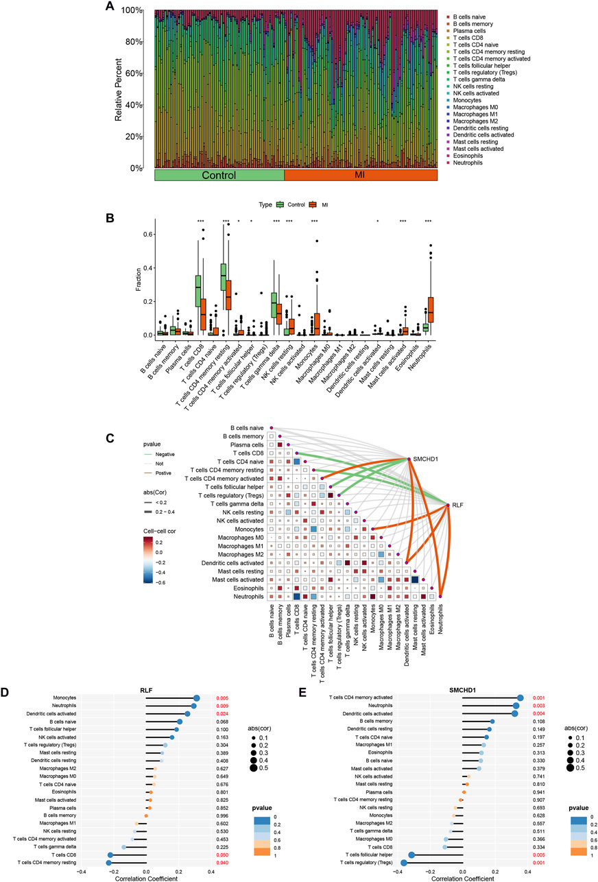 Panel A shows a stacked bar chart comparing immune cell distribution between control and MI groups. Panel B is a box plot displaying fractions of immune cell types. Panel C is a correlation matrix of immune cells with color-coded correlations. Panels D and E present dot plots showing correlation coefficients and p-values for RLF and SMCHD1 with various immune cells.