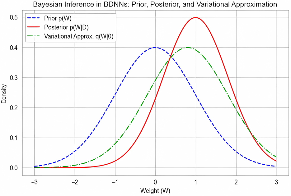 Graph showing Bayesian inference in Bayesian Deep Neural Networks (BDNNs) with prior, posterior, and variational approximation. The x-axis represents weight (W) from –3 to 3, and the y-axis represents density from 0 to 0.5. The prior p(W) is a blue dashed line, the posterior p(W|D) is a red solid line, and the variational approximation q(W|θ) is a green dash-dotted line, demonstrating different distributions of weights.