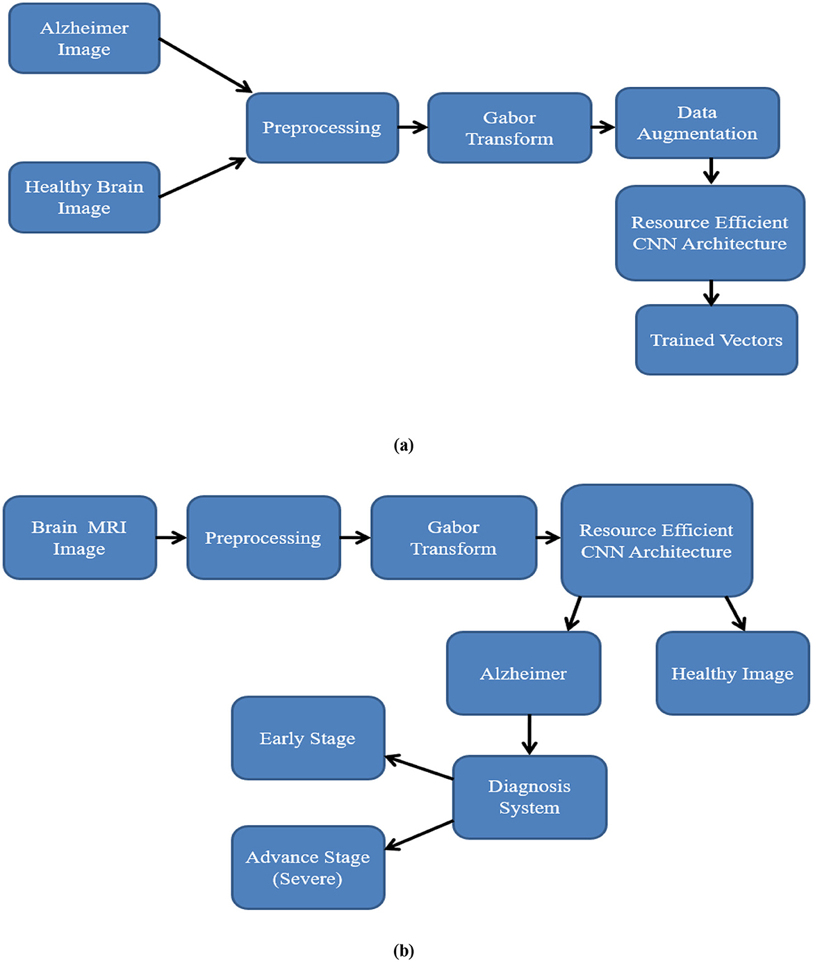Diagram (a) shows a flowchart beginning with Alzheimer and healthy brain images, followed by preprocessing, Gabor transform, data augmentation, resource-efficient CNN architecture, and trained vectors. Diagram (b) illustrates a flowchart starting with brain MRI images, followed by preprocessing, Gabor transform, resource-efficient CNN architecture, dividing into Alzheimer and healthy images. The Alzheimer path leads to a diagnosis system, which further categorizes into early stage and advanced stage (severe).