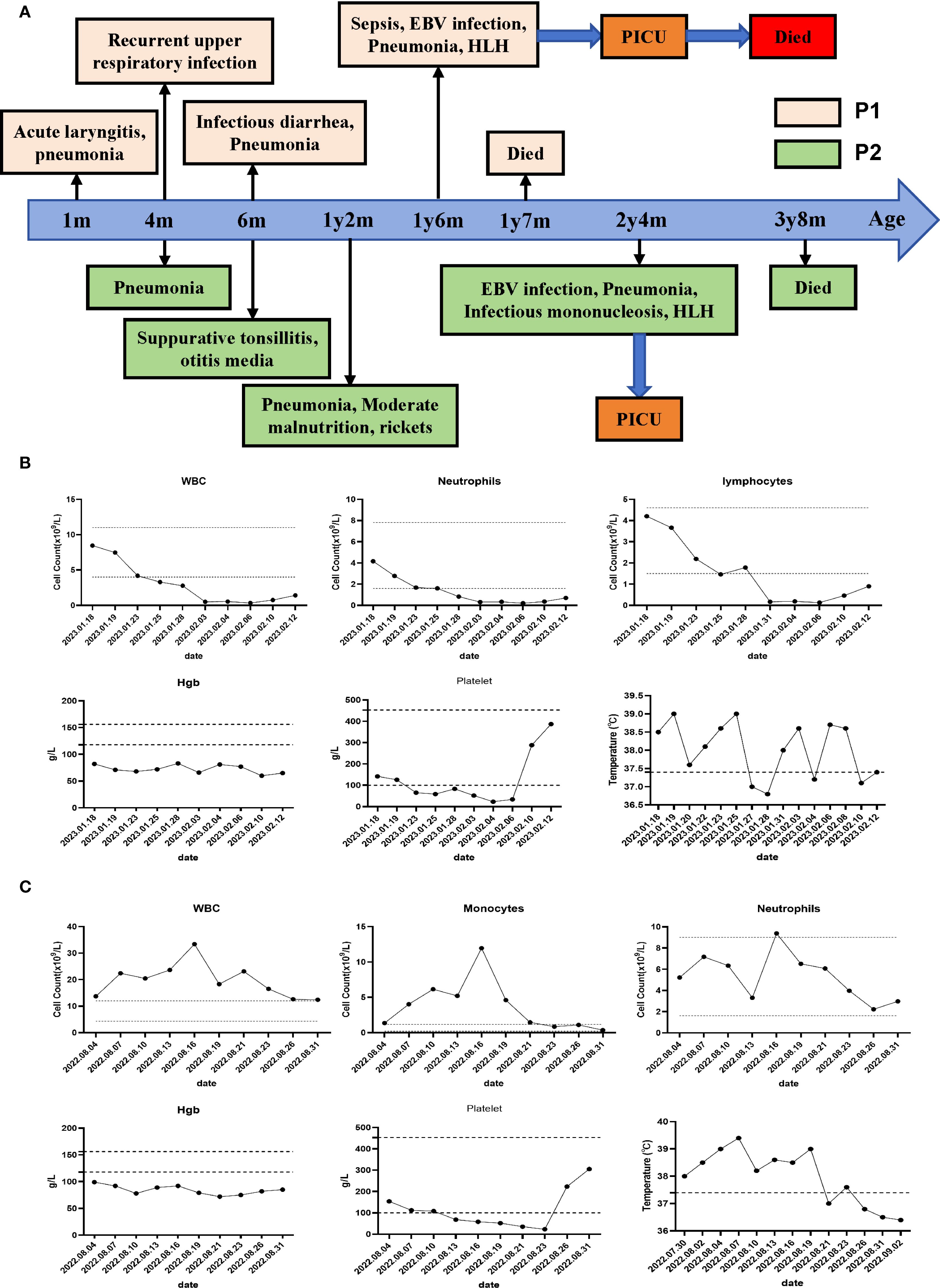 Diagram (A) displays timelines for two patients, P1 and P2, with various conditions including pneumonia, sepsis, and infections, along with age-specific events and outcomes like hospitalization in PICU and death. Graphs (B) and (C) show lab results over time for both patients, including white blood cell counts, neutrophils, lymphocytes, hemoglobin, platelets, and temperature. Each panel represents different metrics over specific dates.