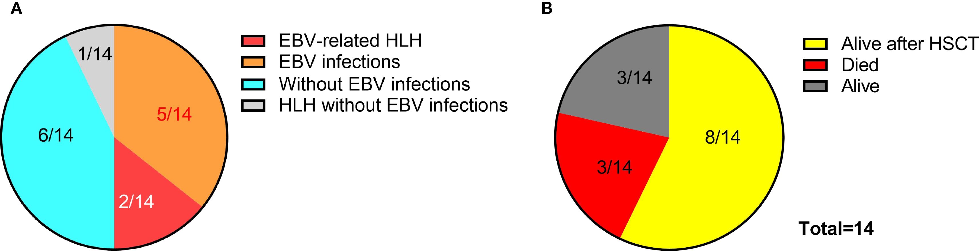 Chart A shows patient distribution: 5/14 with EBV infections, 2/14 with EBV-related HLH, 6/14 without EBV infections, and 1/14 with HLH without EBV. Chart B indicates outcomes: 8/14 alive after HSCT, 3/14 died, and 3/14 alive. Total is 14 patients.