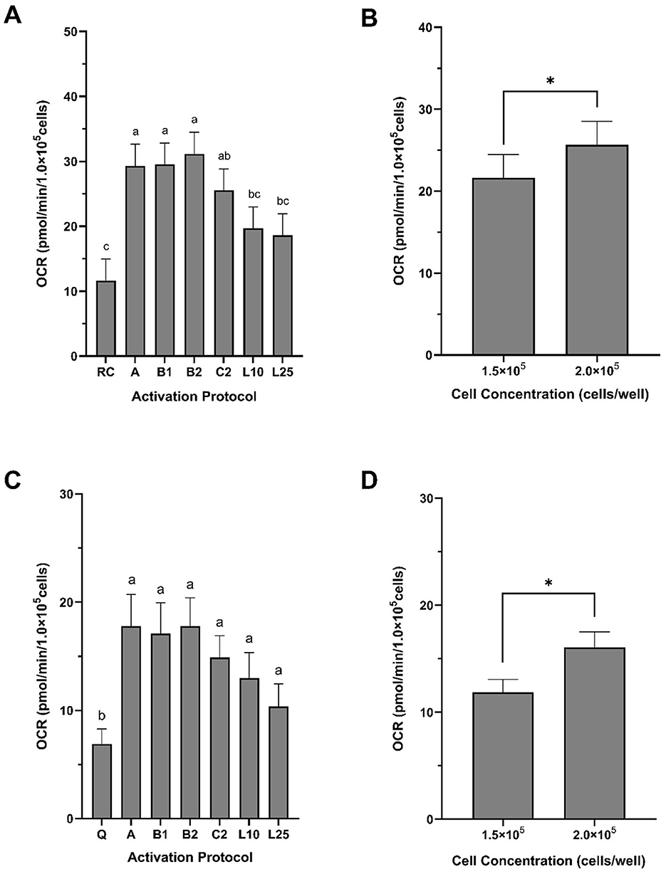 Graph showing oxygen consumption rate (OCR) over time, measured in pmol/min/15x10^5 cells. Baseline shows basal OCR. Oligomycin A decreases OCR, indicating ATP-linked OCR. BAM15 increases OCR, showing maximal OCR and spare respiratory capacity. Rotenone/Antimycin A reduces OCR to non-mitochondrial levels.