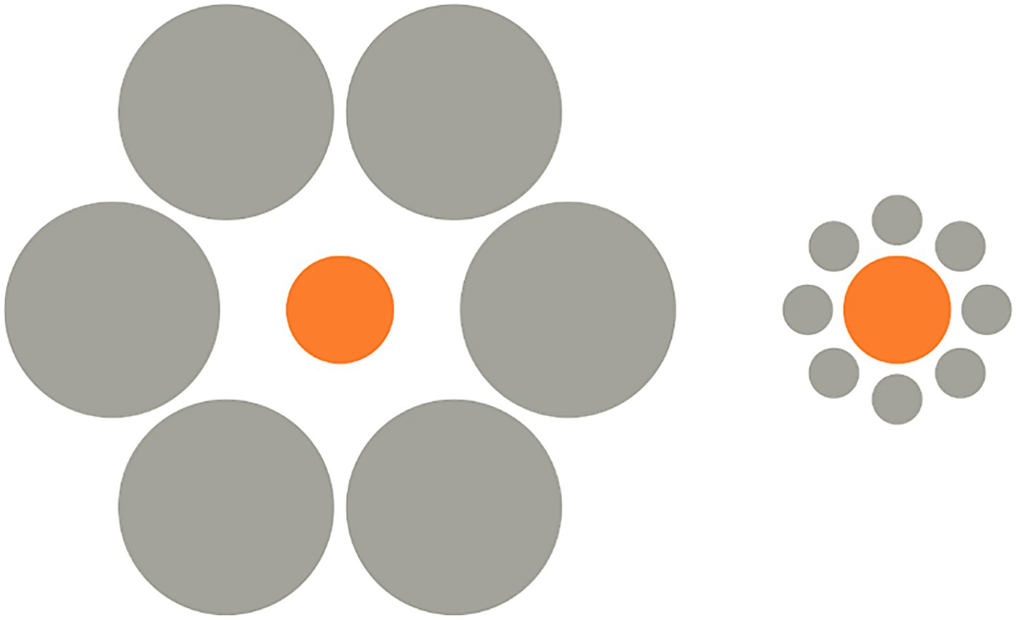 Two sets of circles illustrate the Ebbinghaus illusion. On the left, a central orange circle is surrounded by larger gray circles, making it appear smaller. On the right, the same-sized orange circle is surrounded by smaller gray circles, making it appear larger.
