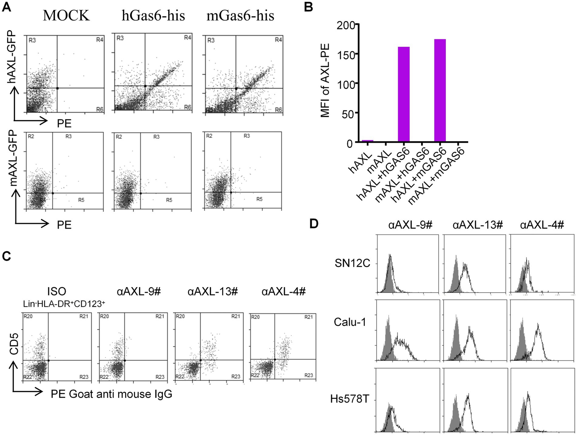 Panel A shows flow cytometry scatter plots for MOCK, hGas6-his, and mGas6-his conditions, comparing hAXL-GFP and mAXL-GFP binding to PE. Panel B is a bar graph displaying median fluorescence intensity of AXL-PE for different conditions, with hAXL and mAXL with and without hGas6 and mGas6. Panel C includes scatter plots for ISO, αAXL-9#, αAXL-13#, and αAXL-4# across Lin-HLA-DR+CD123+ and CD5, using PE Goat anti-mouse IgG. Panel D presents histograms for SN12C, Calu-1, and Hs578T cell lines with αAXL-9#, αAXL-13#, and αAXL-4# antibodies.