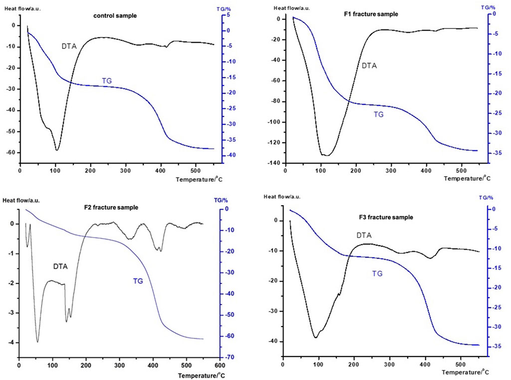 Four graphs display DTA (Differential Thermal Analysis) and TG (Thermogravimetric) curves for different samples. Top left: Control sample. Top right: F1 fracture sample. Bottom left: F2 fracture sample. Bottom right: F3 fracture sample. Each graph shows heat flow against temperature in degrees Celsius, with DTA in black and TG in blue.