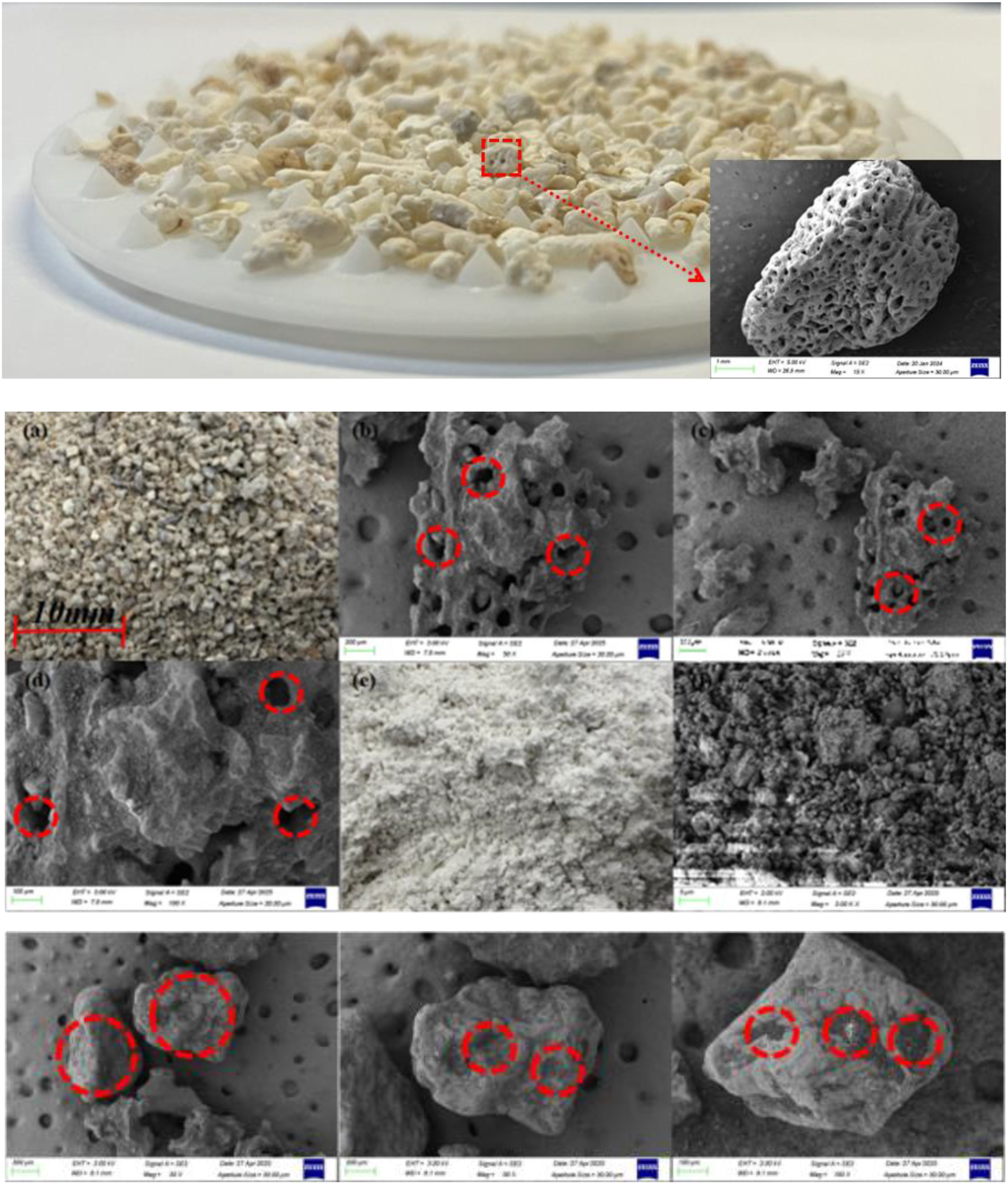Close-up images of granular material on a white surface, highlighting its porous structure through a series of magnified sections. Multiple red-circled areas emphasize specific features of the material at different magnifications, showing detailed textures and microstructures. Each section is accompanied by scale measurements.