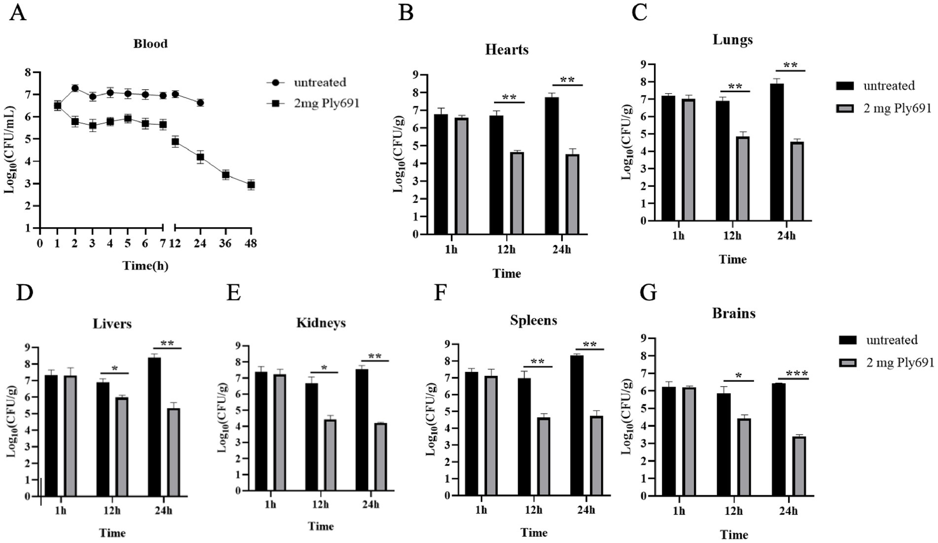 Graphs display bacterial load over time for various organs treated with 2 mg Ply69, compared to untreated controls. A: Blood CFU decline with treatment. B-G: Hearts, Lungs, Livers, Kidneys, Spleens, Brains show significant CFU reduction over time with treatment, indicated by statistical markers, asterisks for significance, in bar charts.