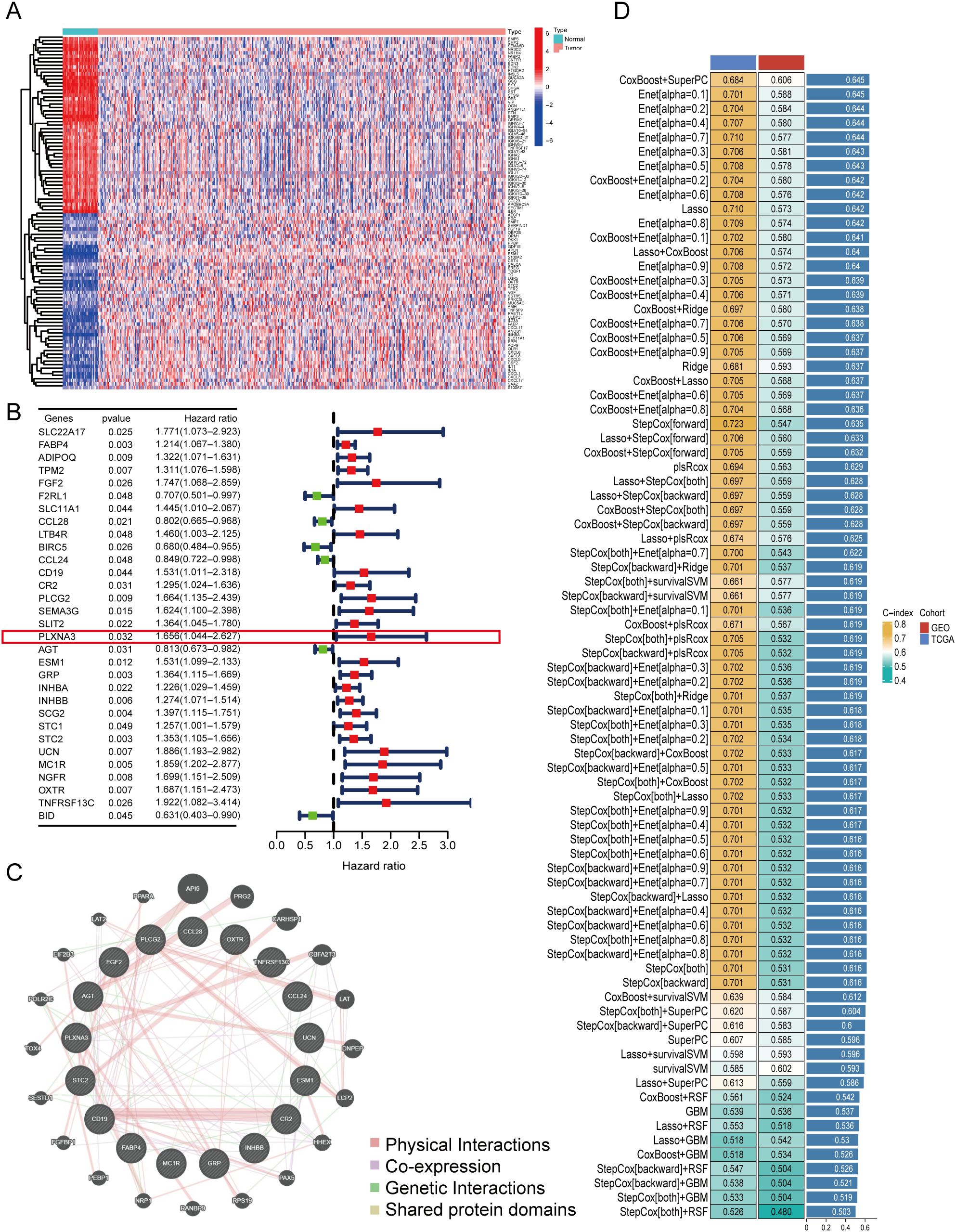 Heatmap (A) shows gene expression levels with a range of blue to red. Forest plot (B) presents genes with hazard ratios and confidence intervals. Network diagram (C) illustrates various gene interactions, categorized by interaction type. Table (D) ranks models by performance metrics for different cohorts, indicated by color-coded bars.