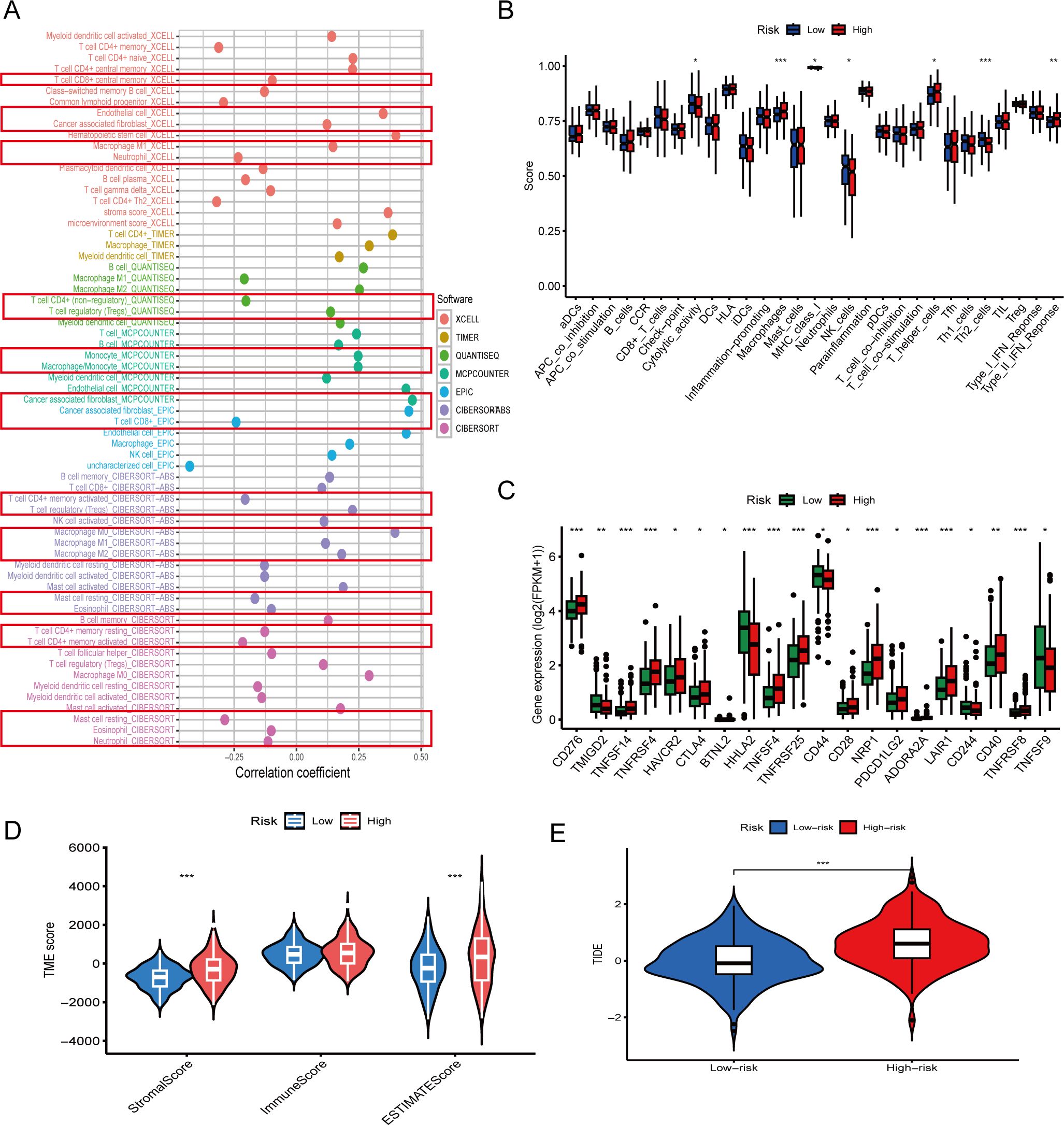Five visualizations analyze immune cell correlations and risk factors in cancer: A) Bubble plot shows immune cell correlations with risk, color-coded by software, with red highlighted correlations. B) Box plot compares scores of immune cells between low and high-risk groups. C) Box plot displays gene expression in low versus high-risk groups. D) Violin plot illustrates TIME scores segmented into stromal, immune, and ESTIMATE scores by risk level. E) Violin plot contrasts TIDE scores between low and high-risk groups.