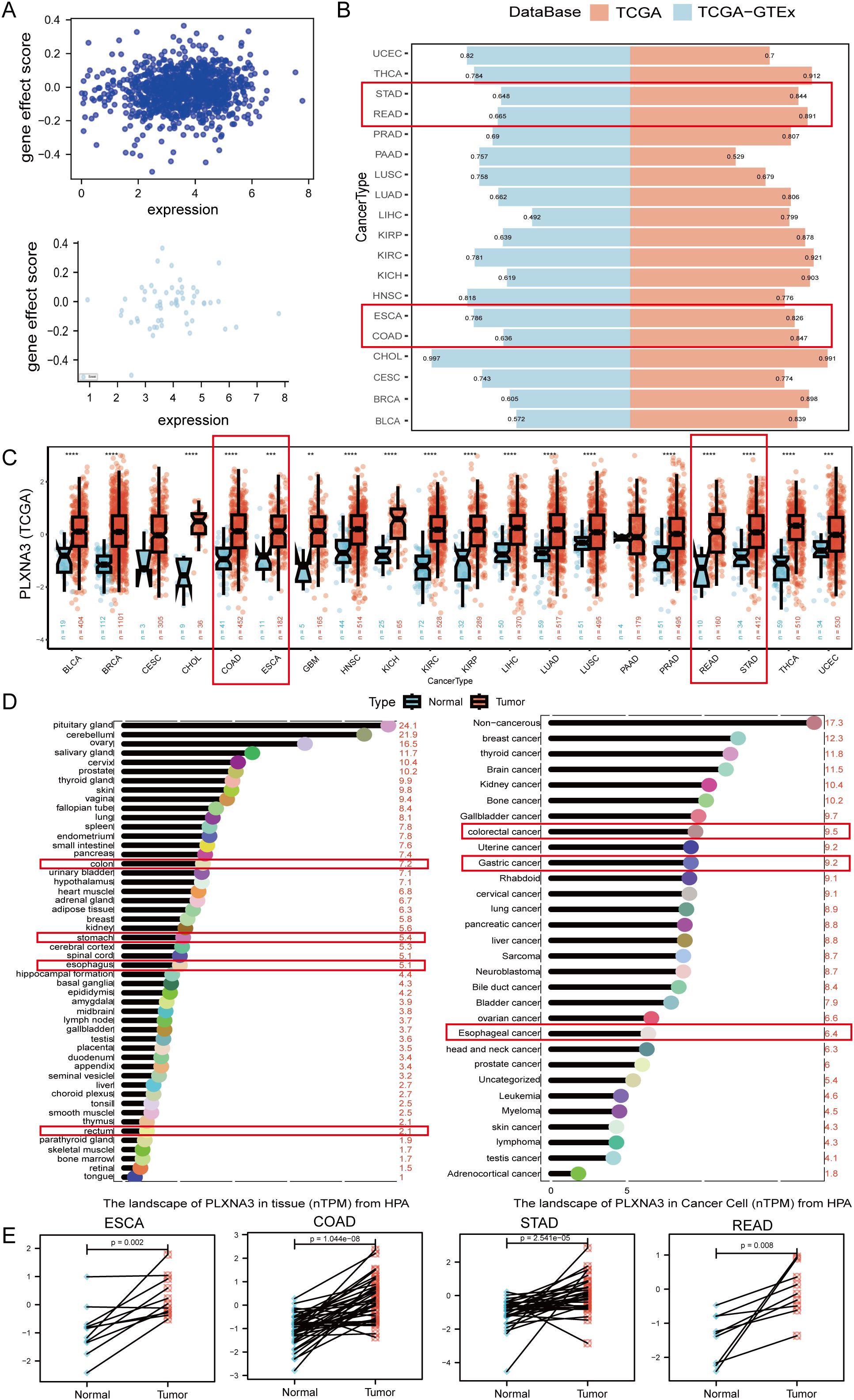 Panel A displays scatter plots of gene effect score versus expression. Panel B shows a bar chart comparing PLXNA3 expression in different cancer types between TCGA and TCGA-GTEx databases. Panel C presents a box plot of PLXNA3 expression across various cancer types. Panel D features bar charts showing PLXNA3 expression in normal and tumor tissues in tissue types and cancer cell types. Panel E consists of line graphs comparing PLXNA3 expression in normal and tumor tissues for ESCA, COAD, STAD, and READ, indicating statistical significance.