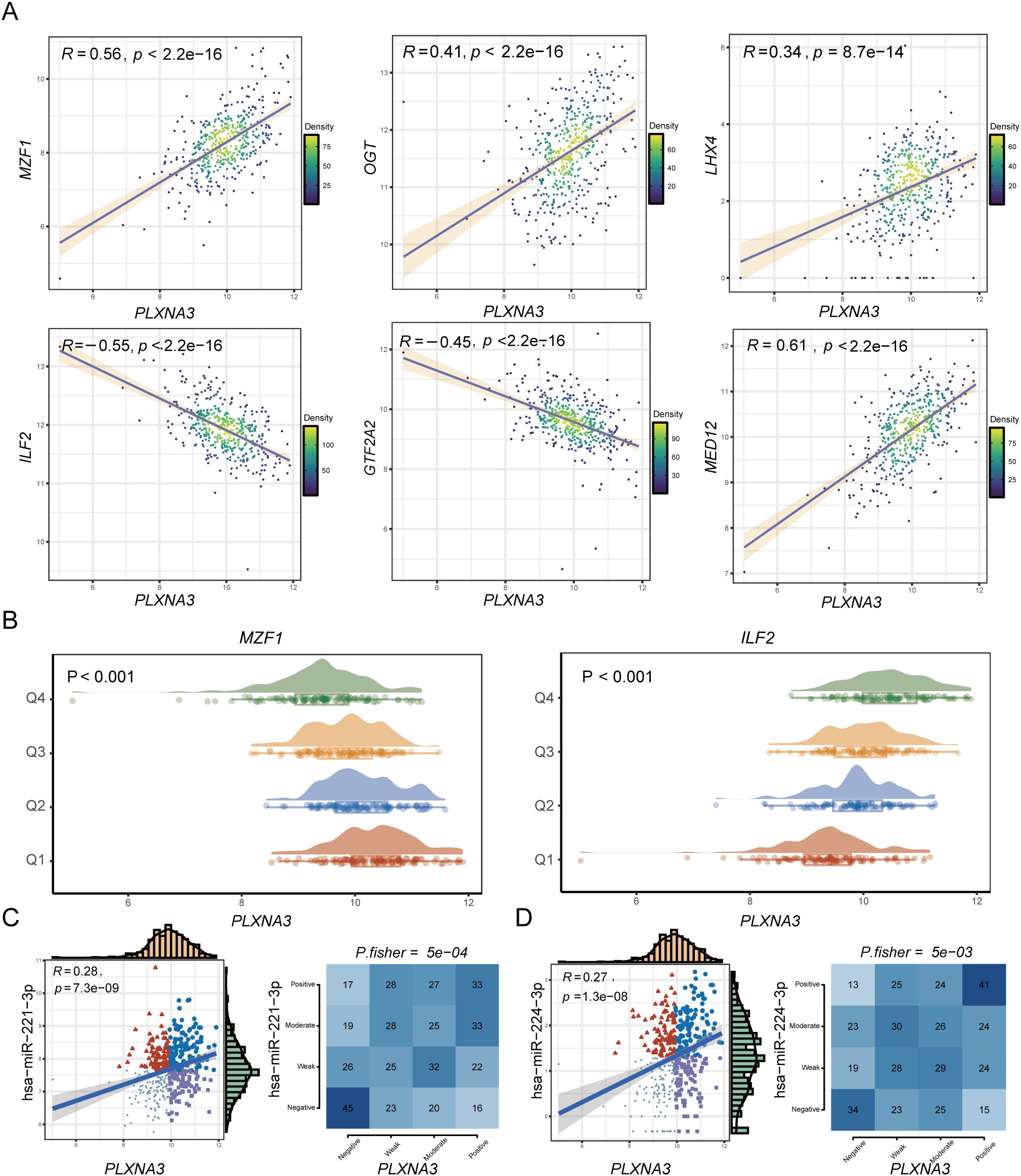 Graph set illustrating correlations involving PLXNA3. Panel A shows six scatter plots with density gradients, highlighting correlation coefficients and p-values for various gene interactions. Panel B contains density plots for MZF1 and ILF2, each showing four quartiles with significance levels. Panels C and D present scatter plots of hsa-miR-22-3p against PLXNA3 with correlation statistics, histograms, and heat maps showing cross-tabulation results and Fisher p-values.